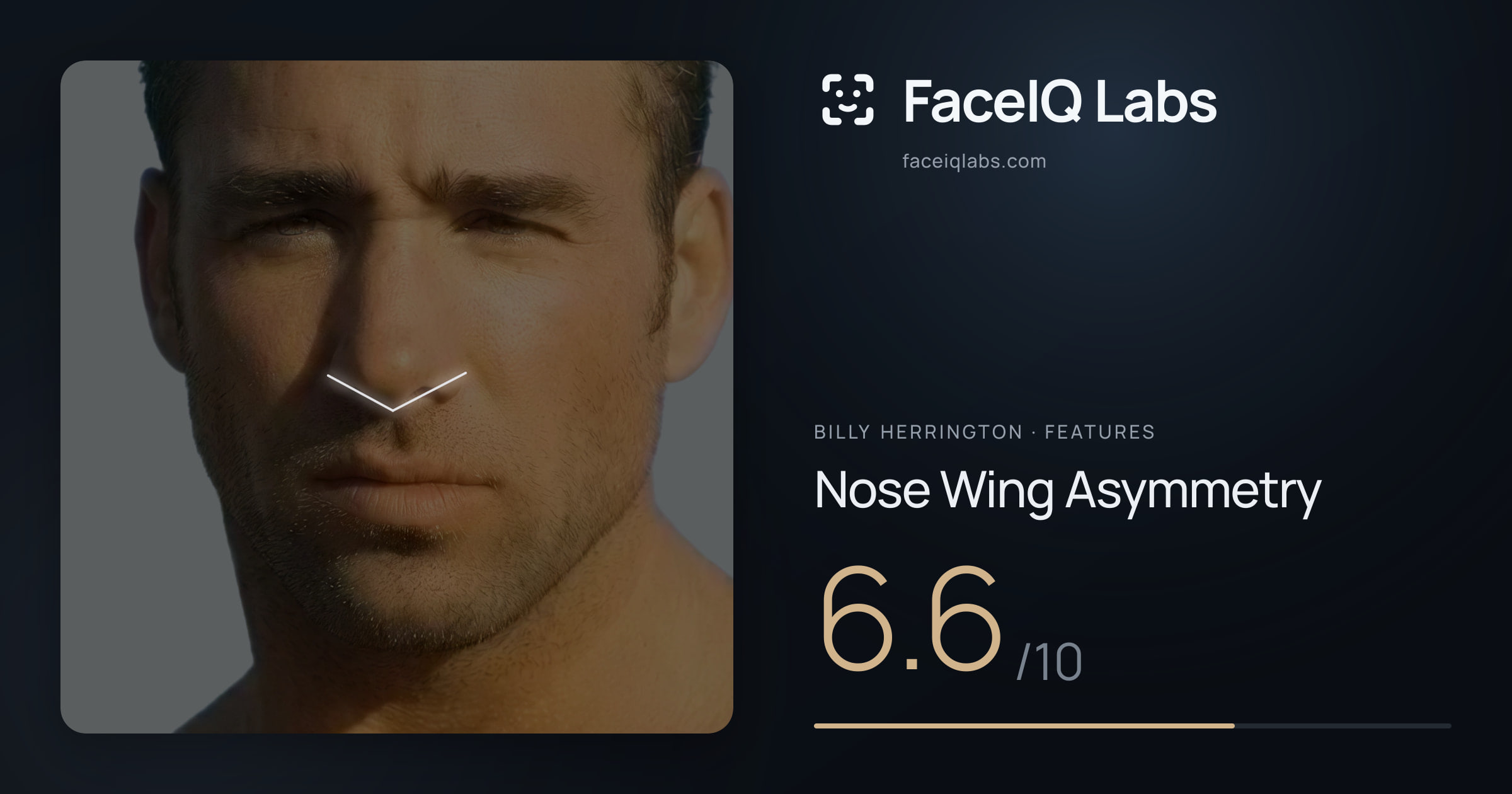 Billy Herrington Nose Wing Asymmetry: 6.6/10, drawn on the photo