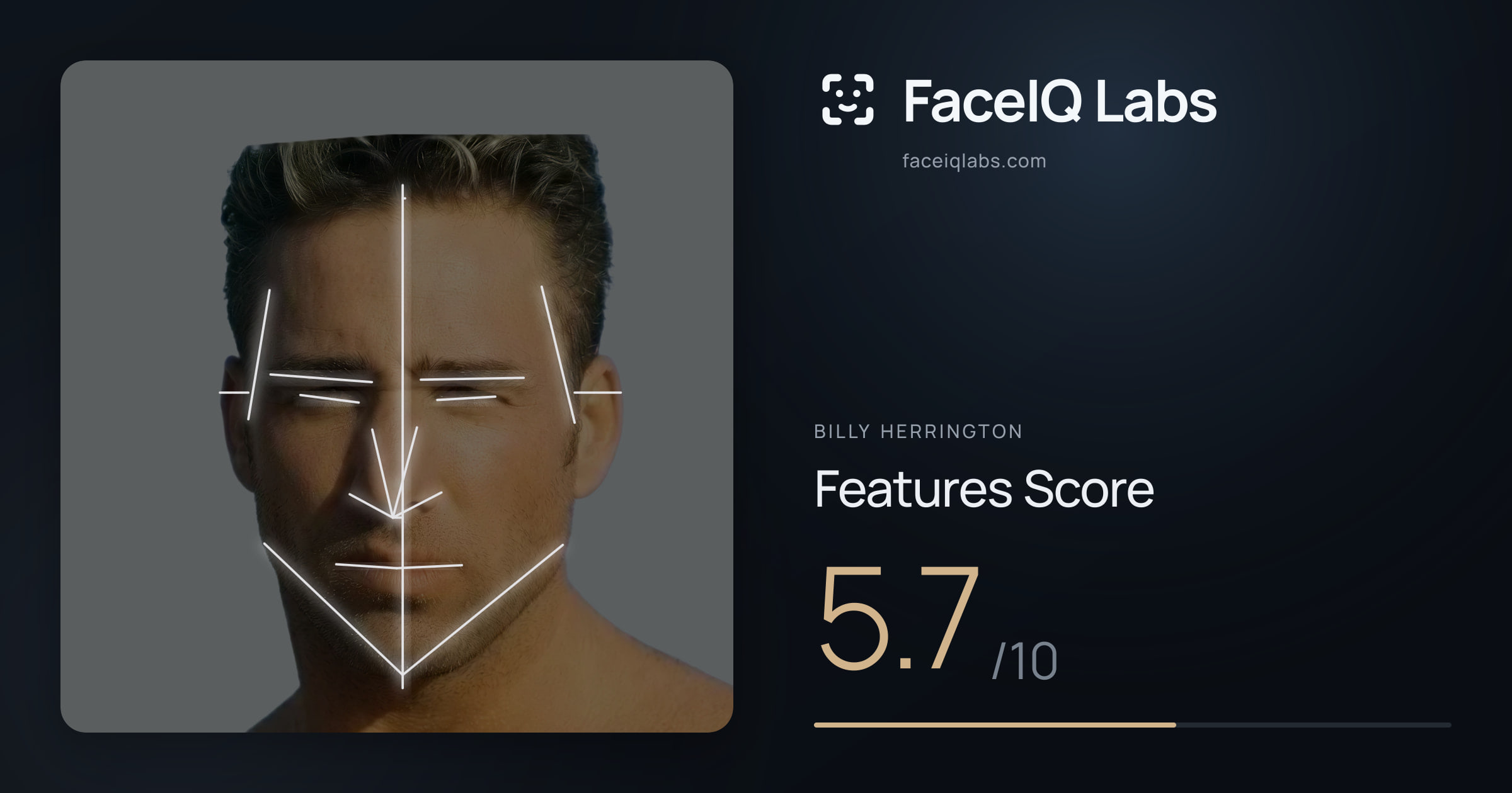 Billy Herrington Features: 5.7/10, with each assessment drawn on the photo