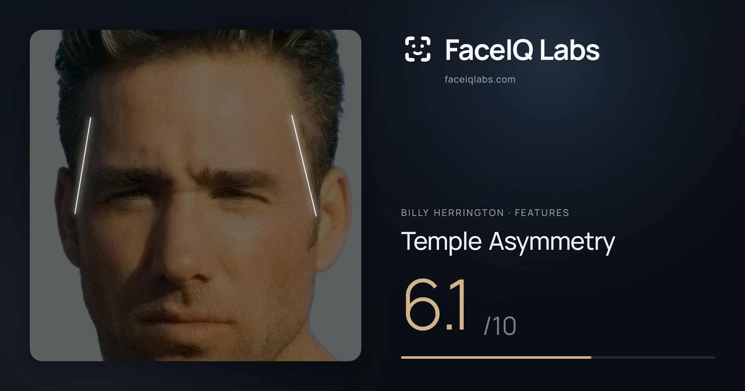 Billy Herrington Temple Asymmetry: 6.1/10, drawn on the photo