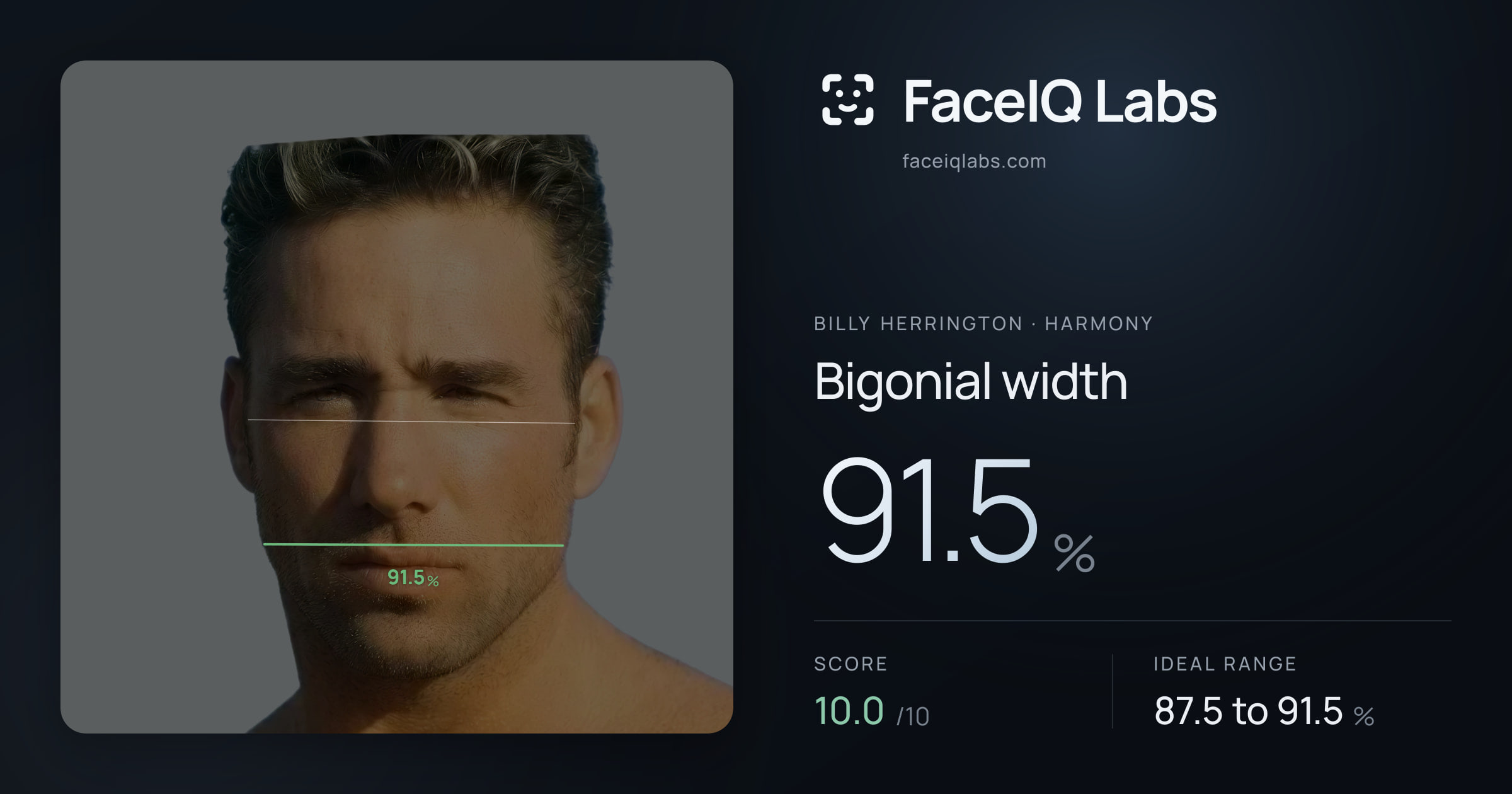 Billy Herrington Bigonial width: 91.5%, drawn on the photo
