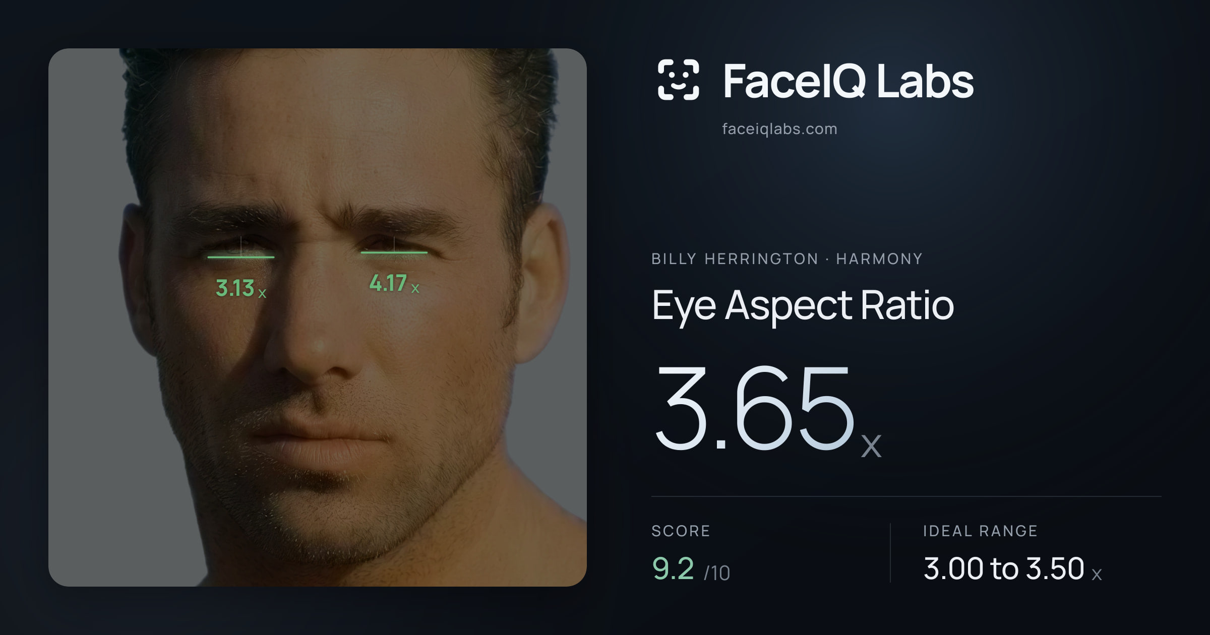 Billy Herrington Eye Aspect Ratio: 3.65x, drawn on the photo