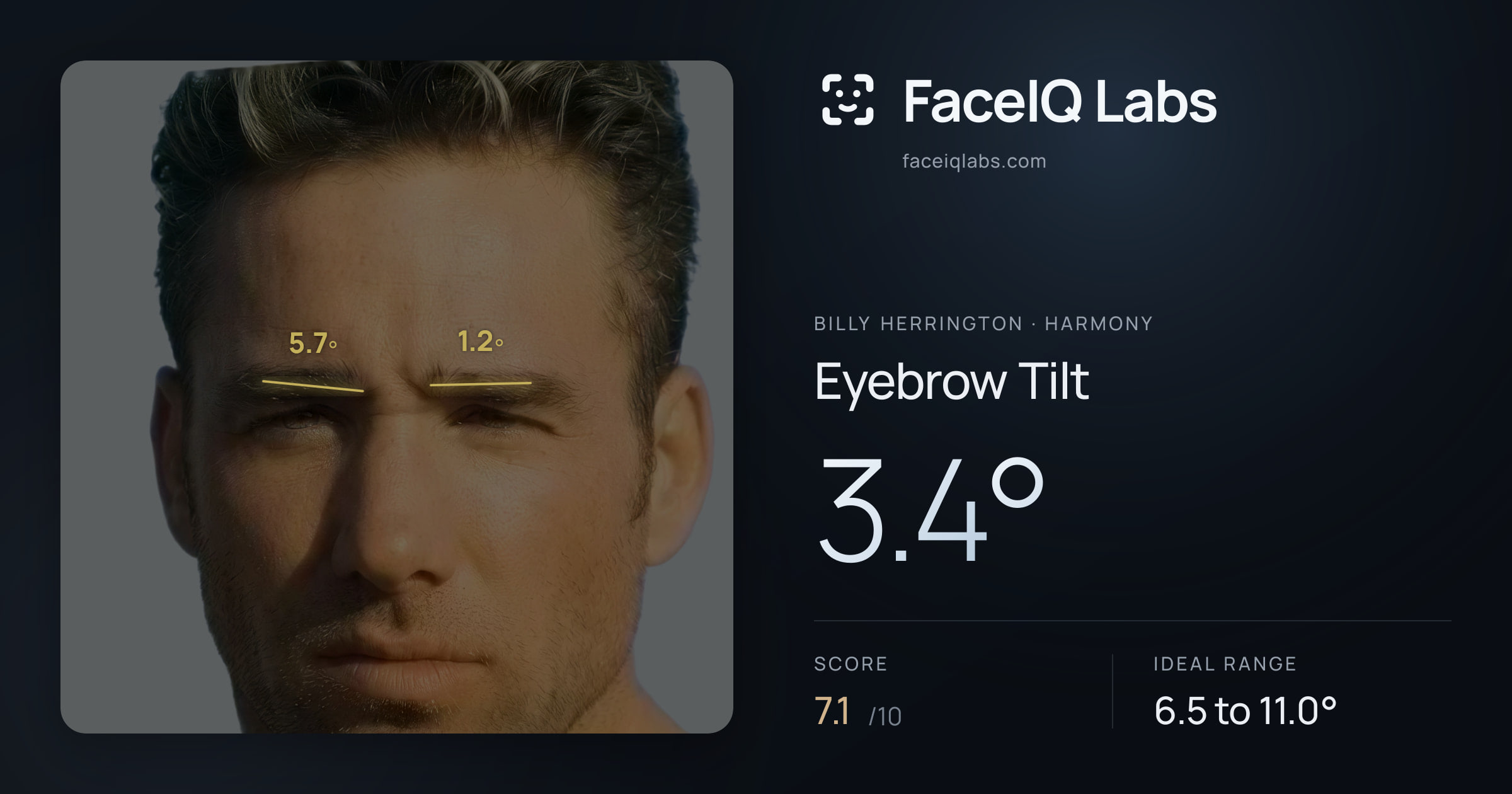 Billy Herrington Eyebrow Tilt: 3.4°, drawn on the photo