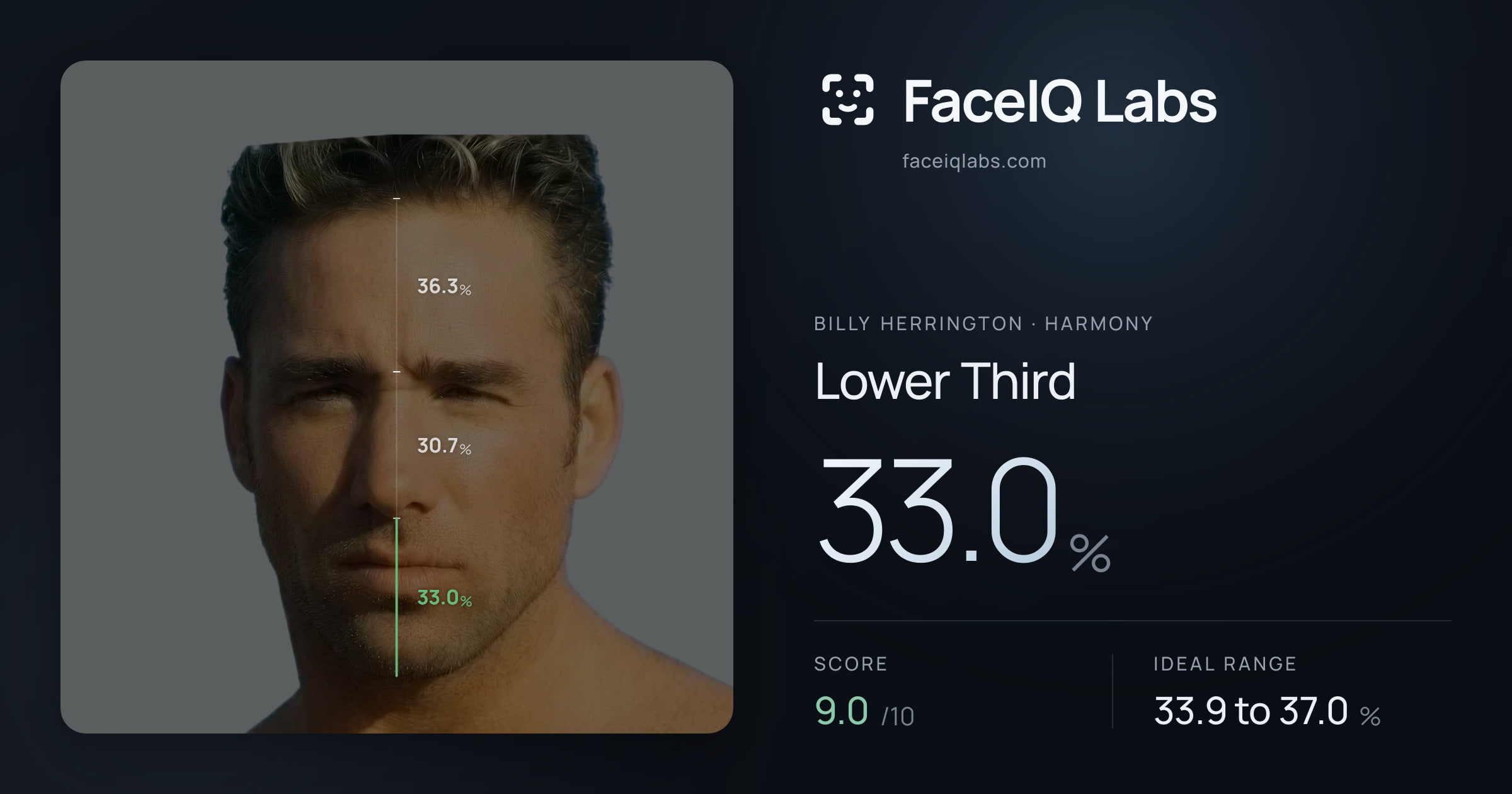 Billy Herrington Lower Third: 33.0%, drawn on the photo