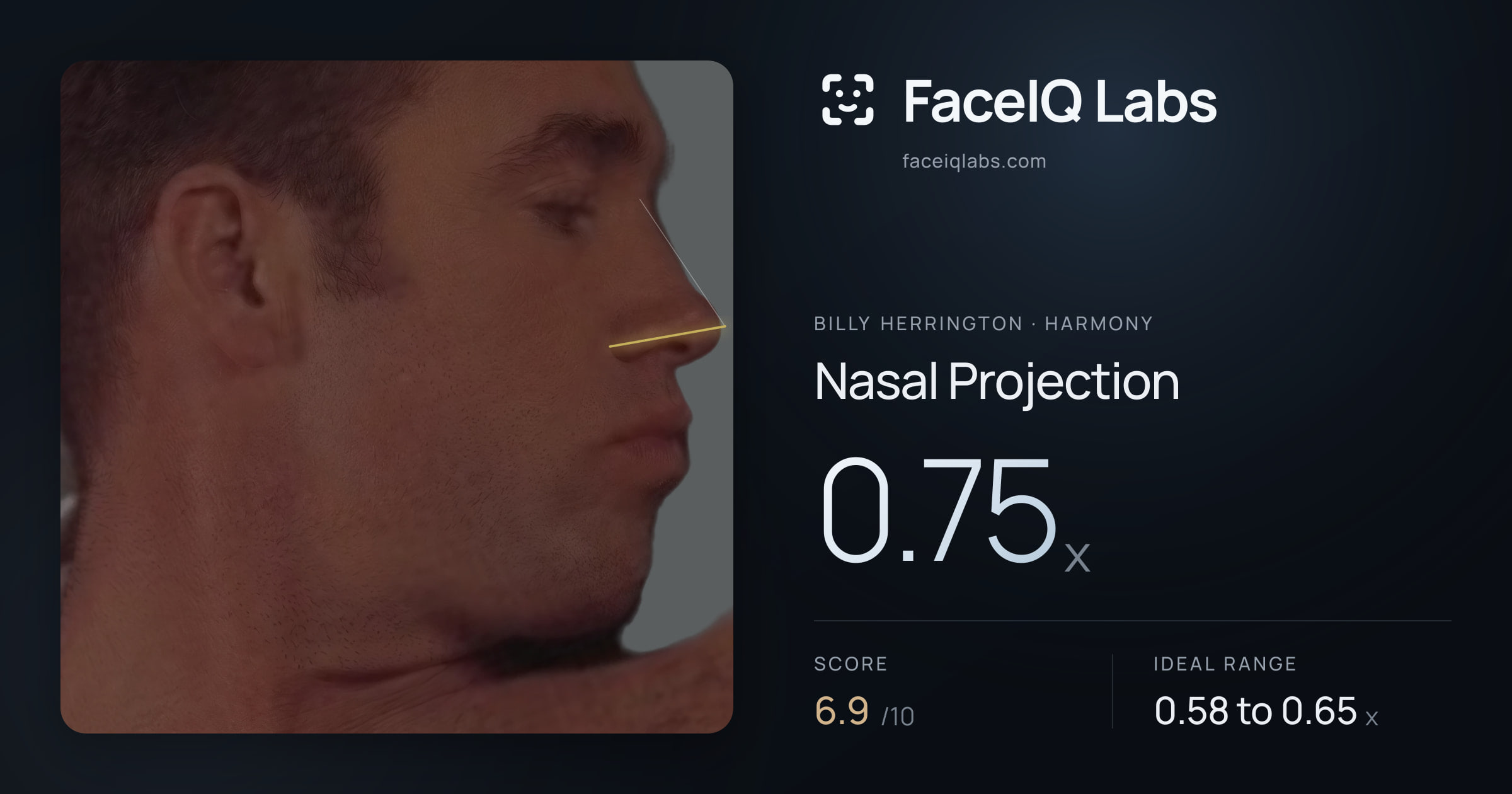 Billy Herrington Nasal Projection: 0.75x, drawn on the photo