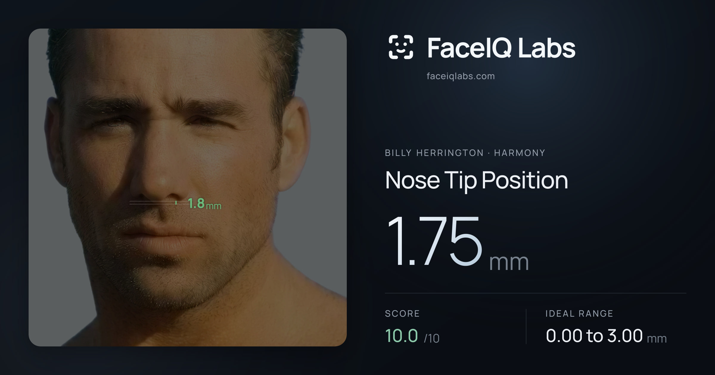 Billy Herrington Nose Tip Position: 1.75mm, drawn on the photo