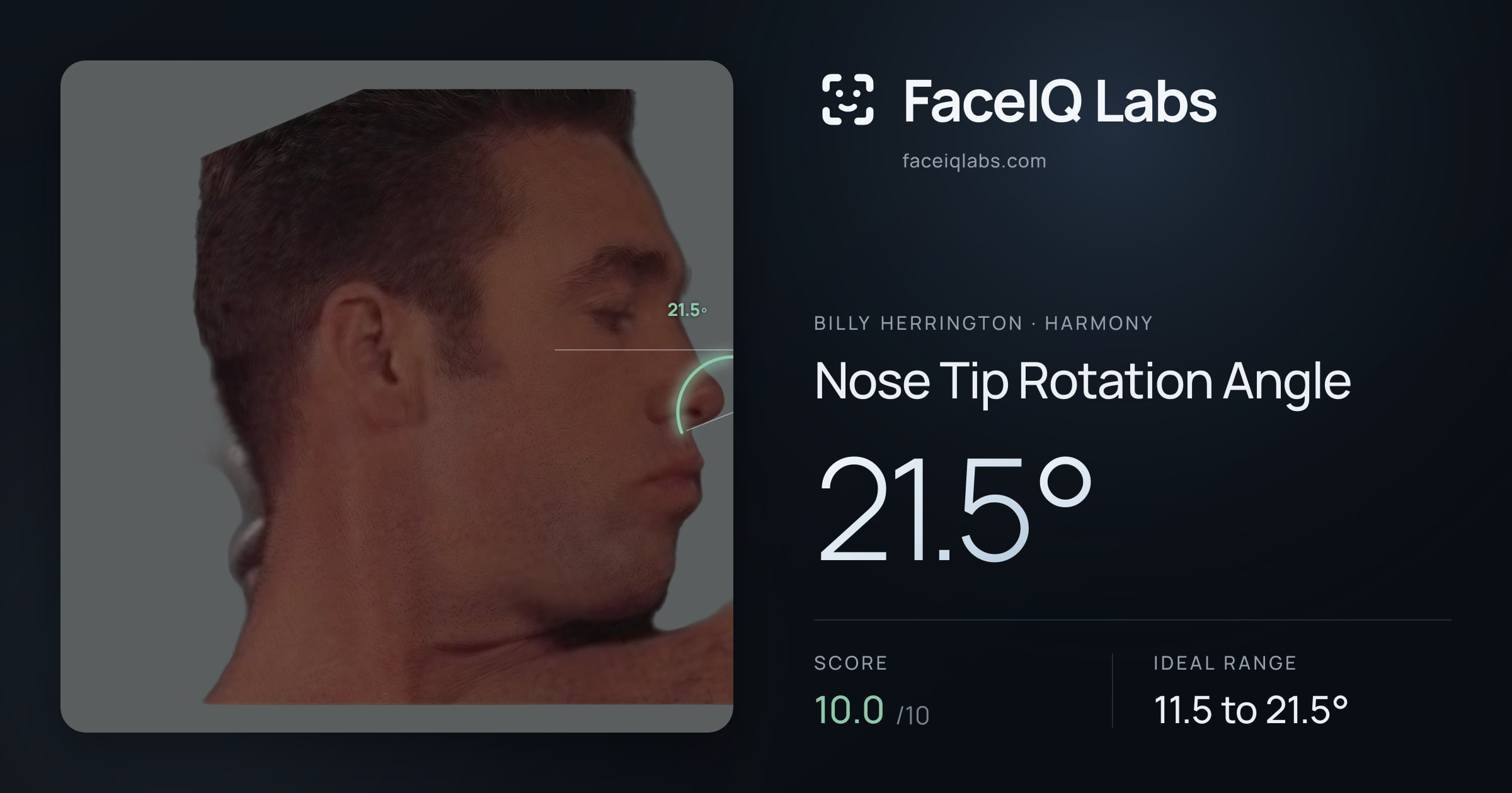 Billy Herrington Nose Tip Rotation Angle: 21.5°, drawn on the photo