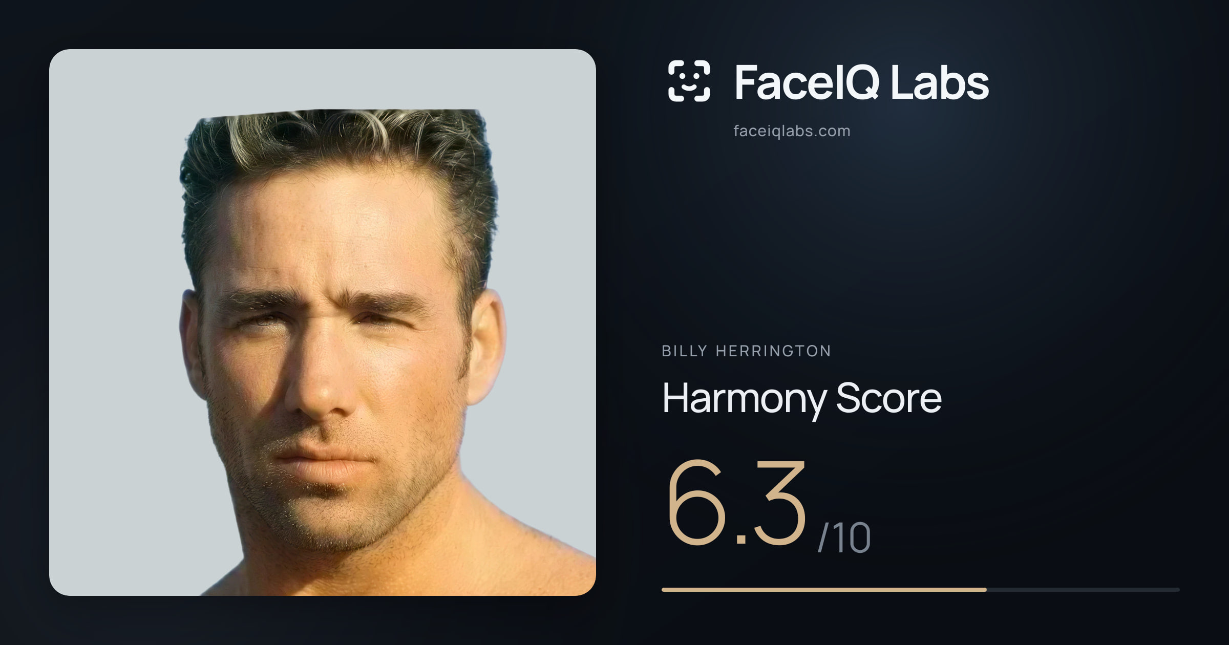 Billy Herrington Harmony: 6.3/10, with each ratio's score