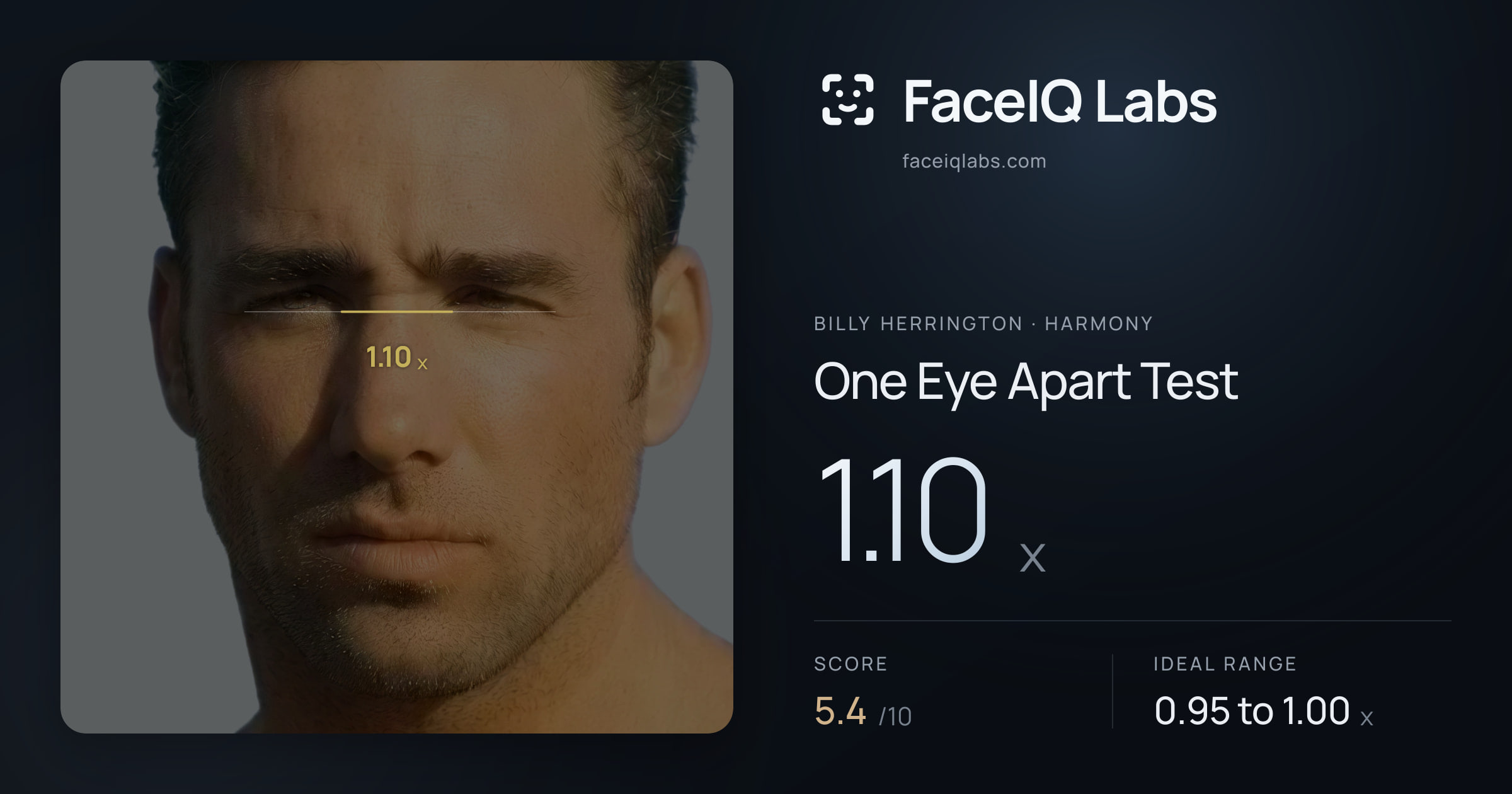 Billy Herrington One Eye Apart Test: 1.10x, drawn on the photo