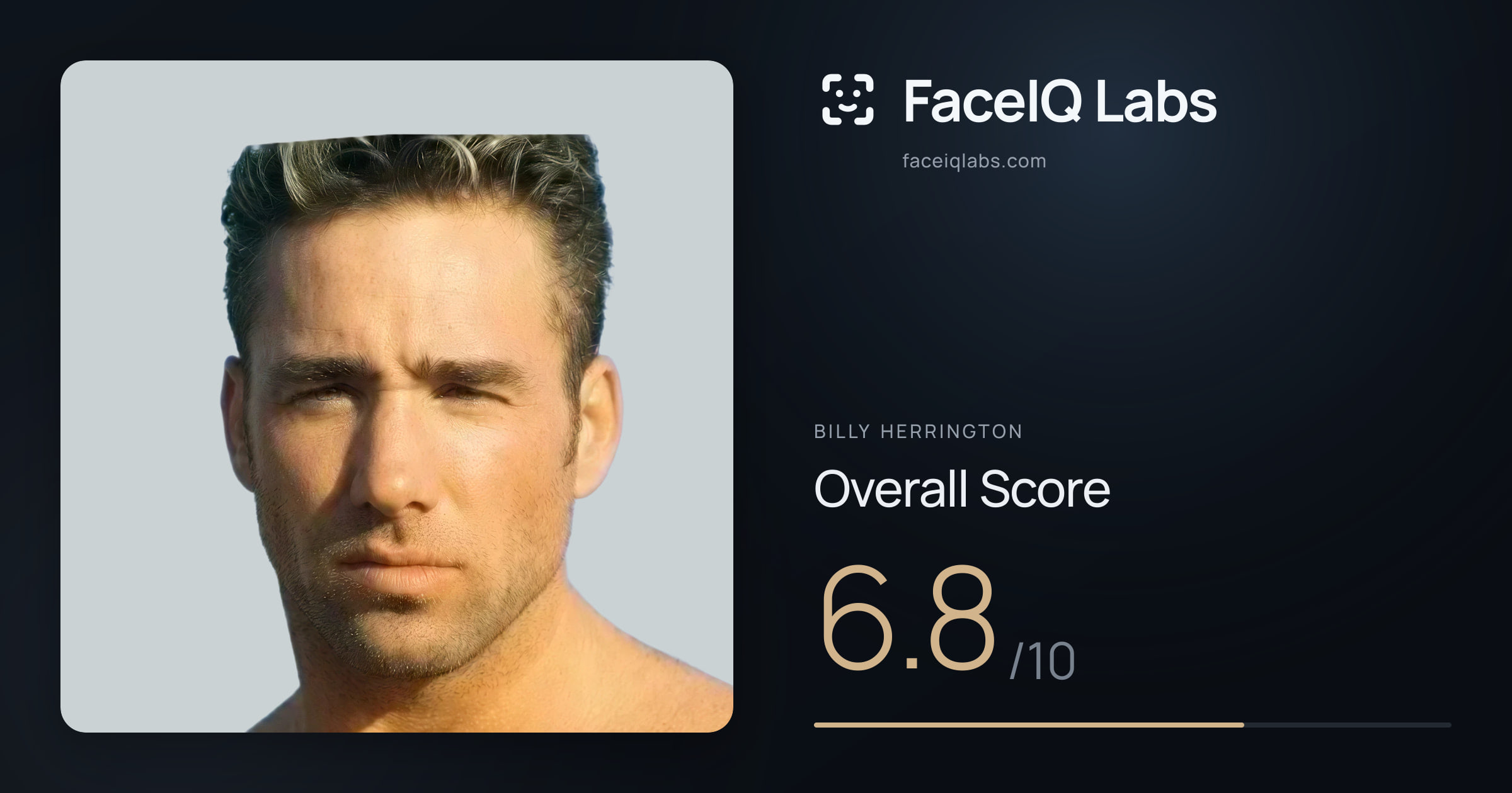 Billy Herrington face rating: 6.8/10, with each section's score