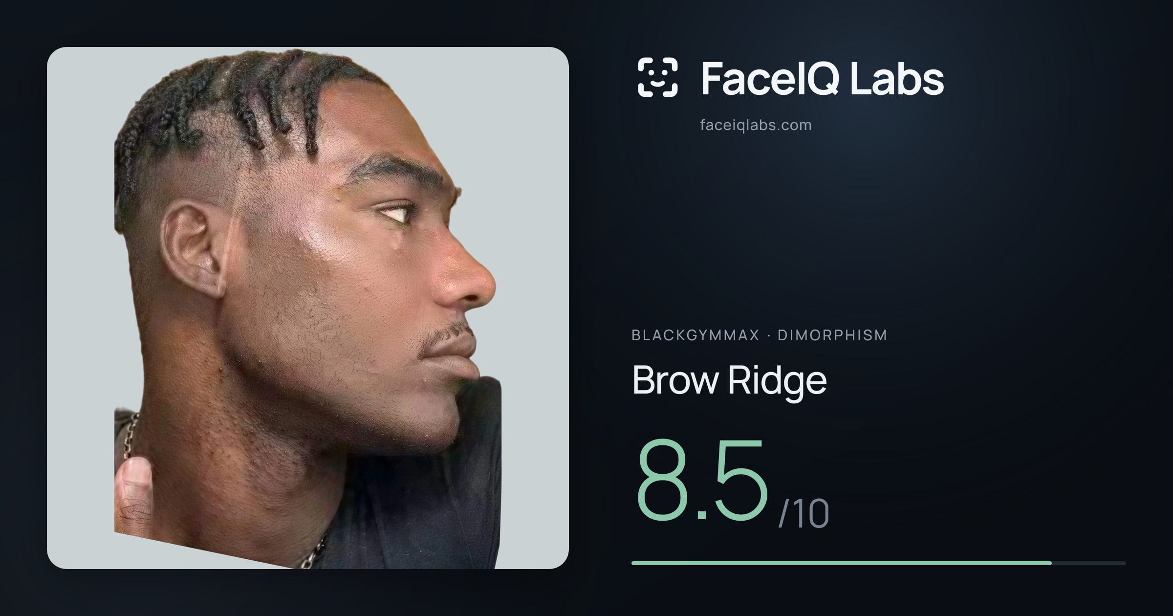 Blackgymmax Brow Ridge: 8.5/10, drawn on the photo