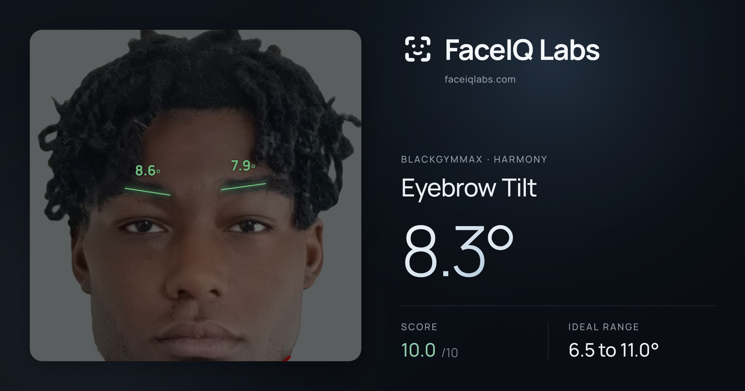 Blackgymmax Eyebrow Tilt: 8.3°, drawn on the photo
