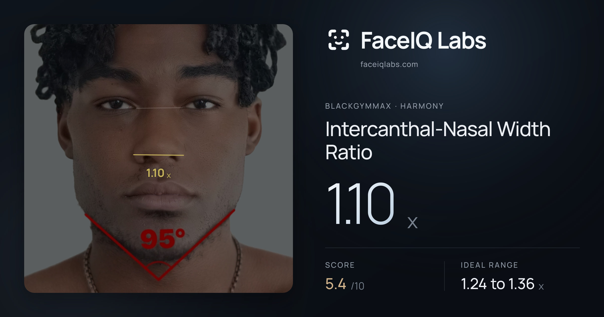 Blackgymmax Intercanthal-Nasal Width Ratio: 1.10x, drawn on the photo