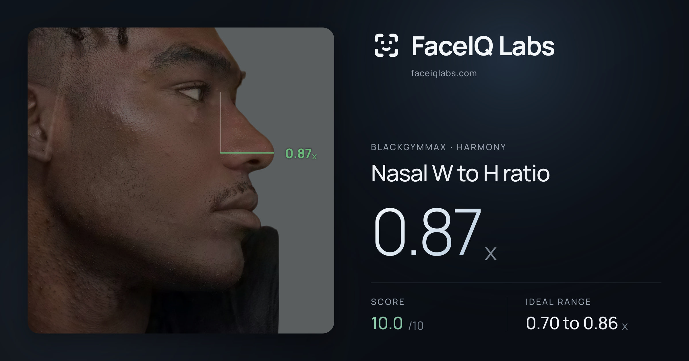 Blackgymmax Nasal W to H ratio: 0.87x, drawn on the photo
