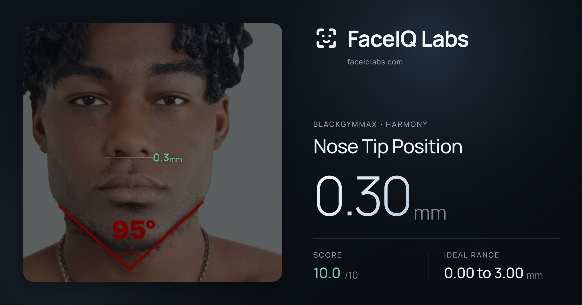Blackgymmax Nose Tip Position: 0.30mm, drawn on the photo