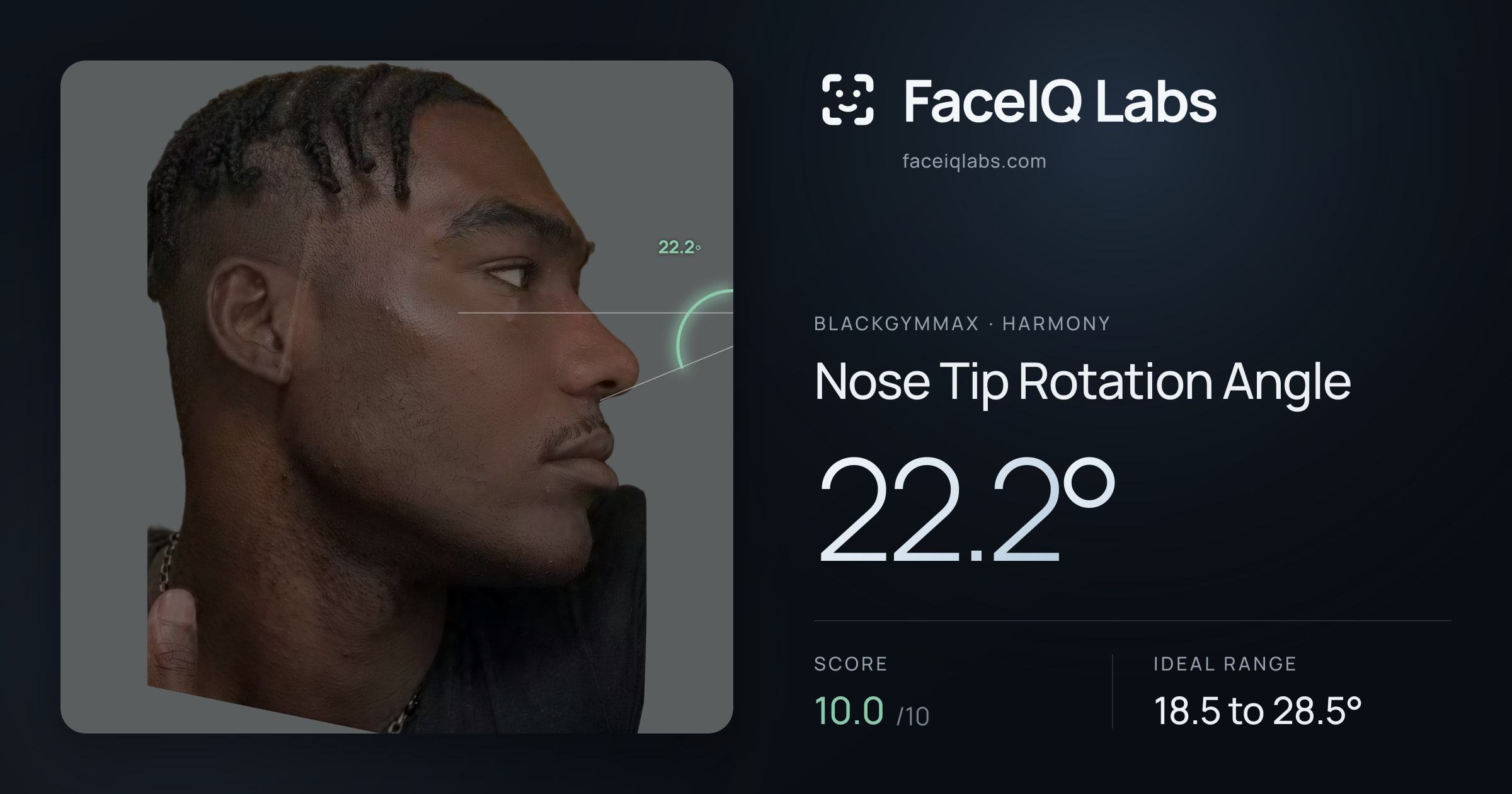 Blackgymmax Nose Tip Rotation Angle: 22.2°, drawn on the photo