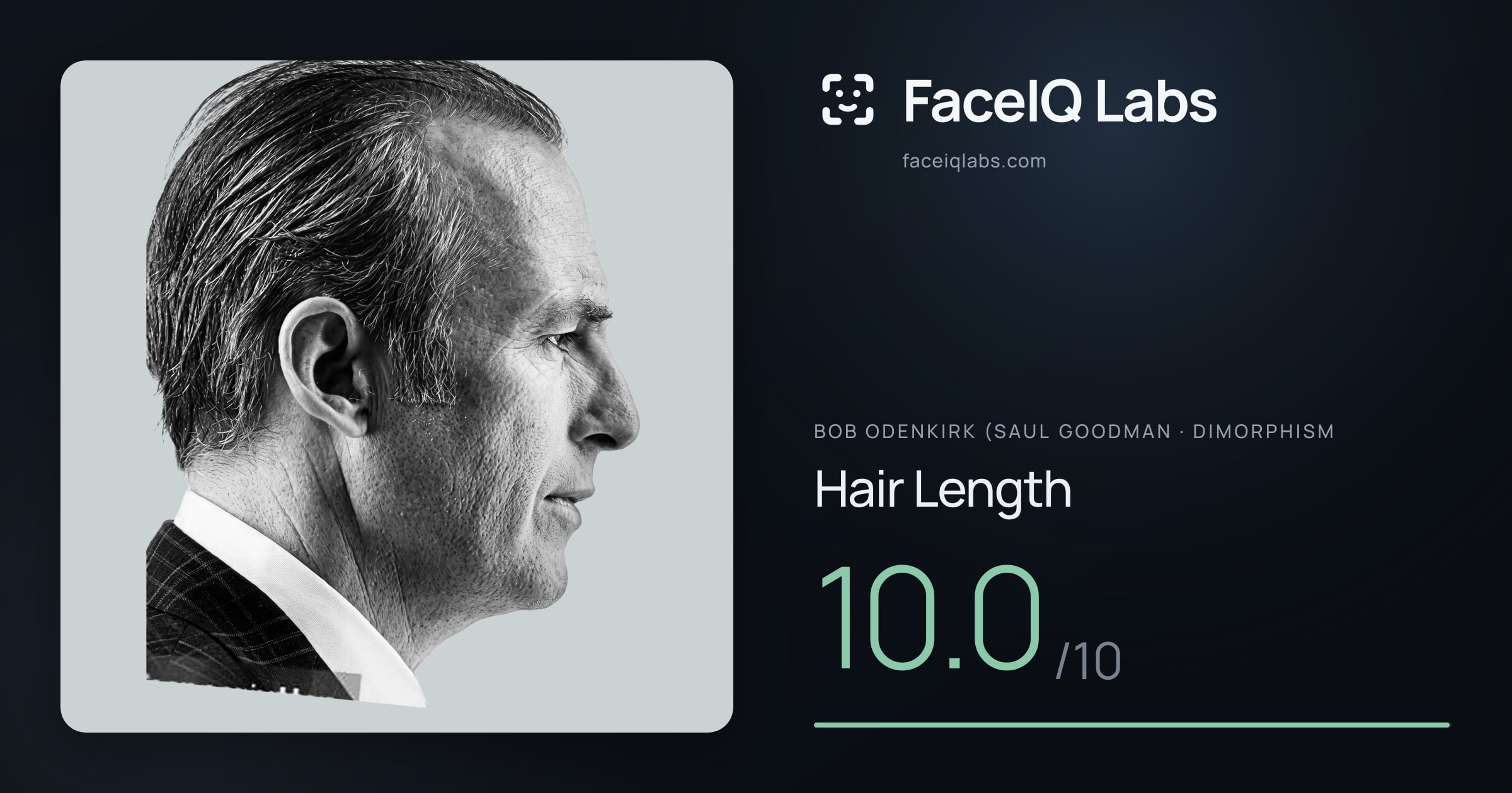 Bob Odenkirk (Saul Goodman Hair Length: 10.0/10, drawn on the photo