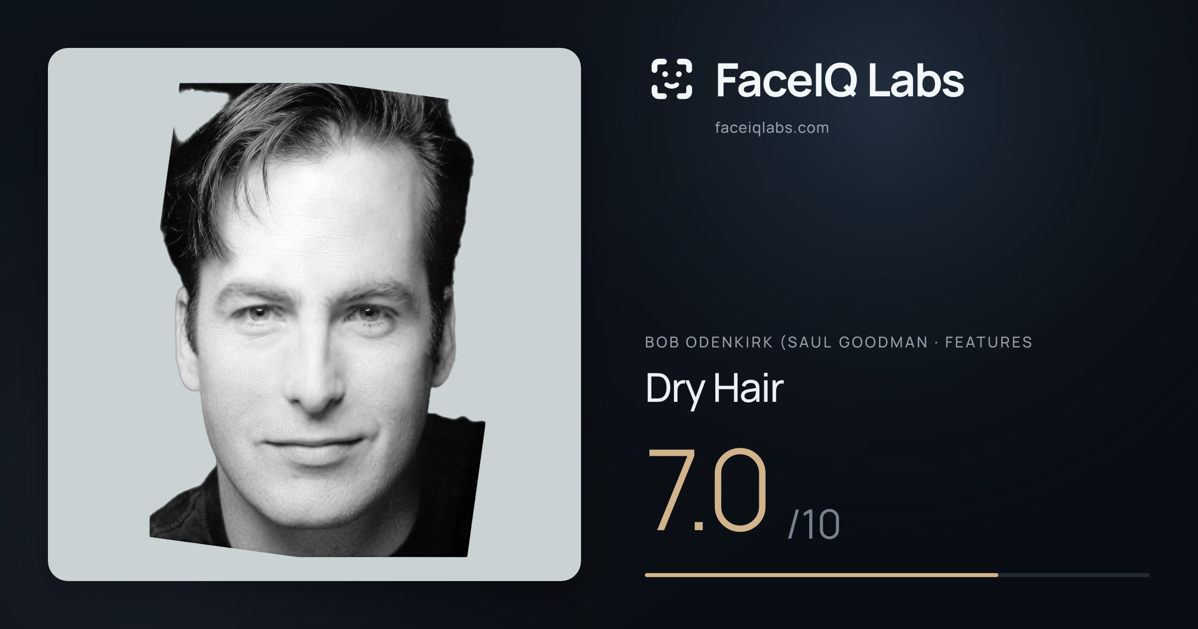 Bob Odenkirk (Saul Goodman Dry Hair: 7.0/10, drawn on the photo