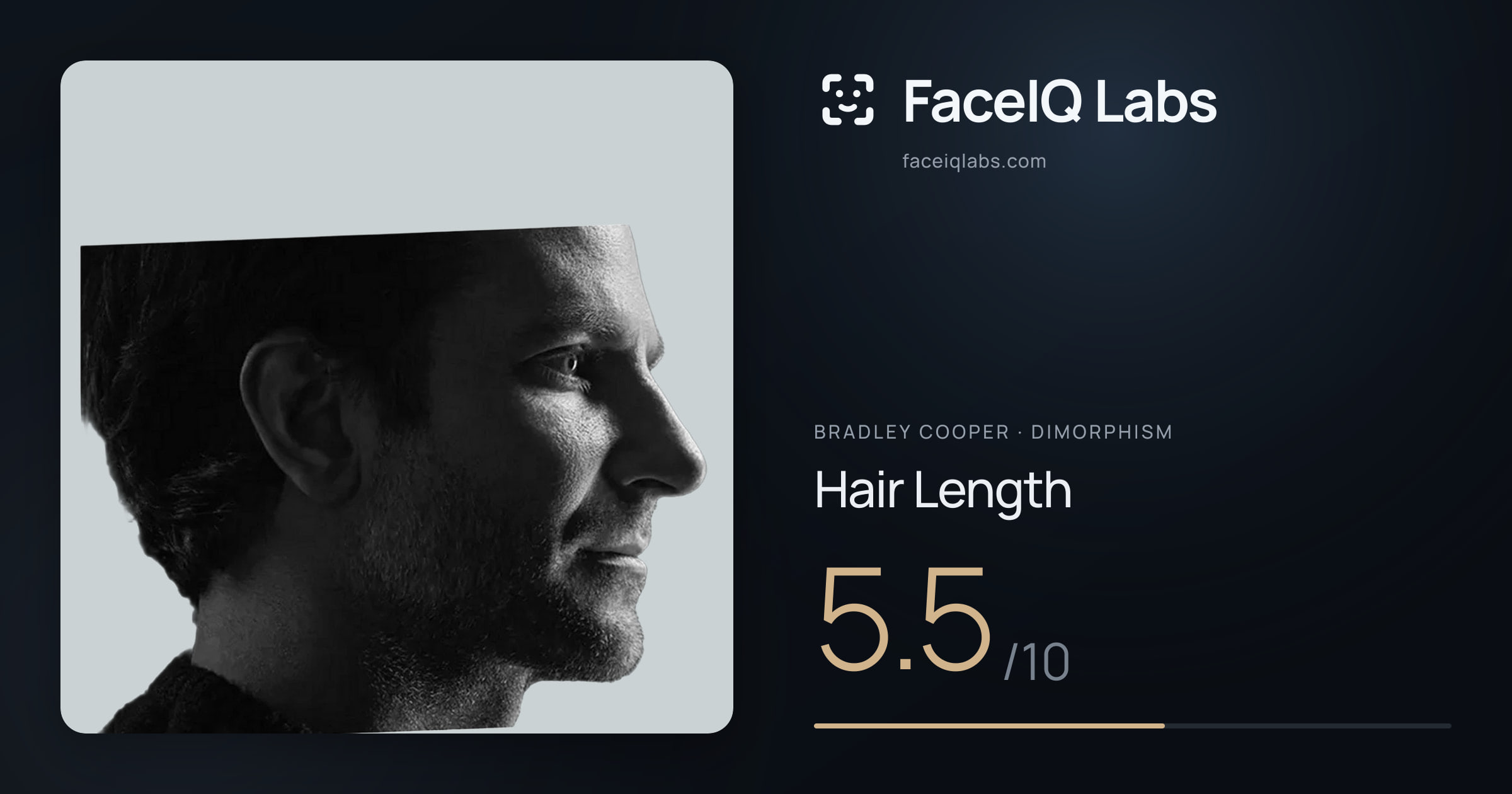 Bradley Cooper Hair Length: 5.5/10, drawn on the photo