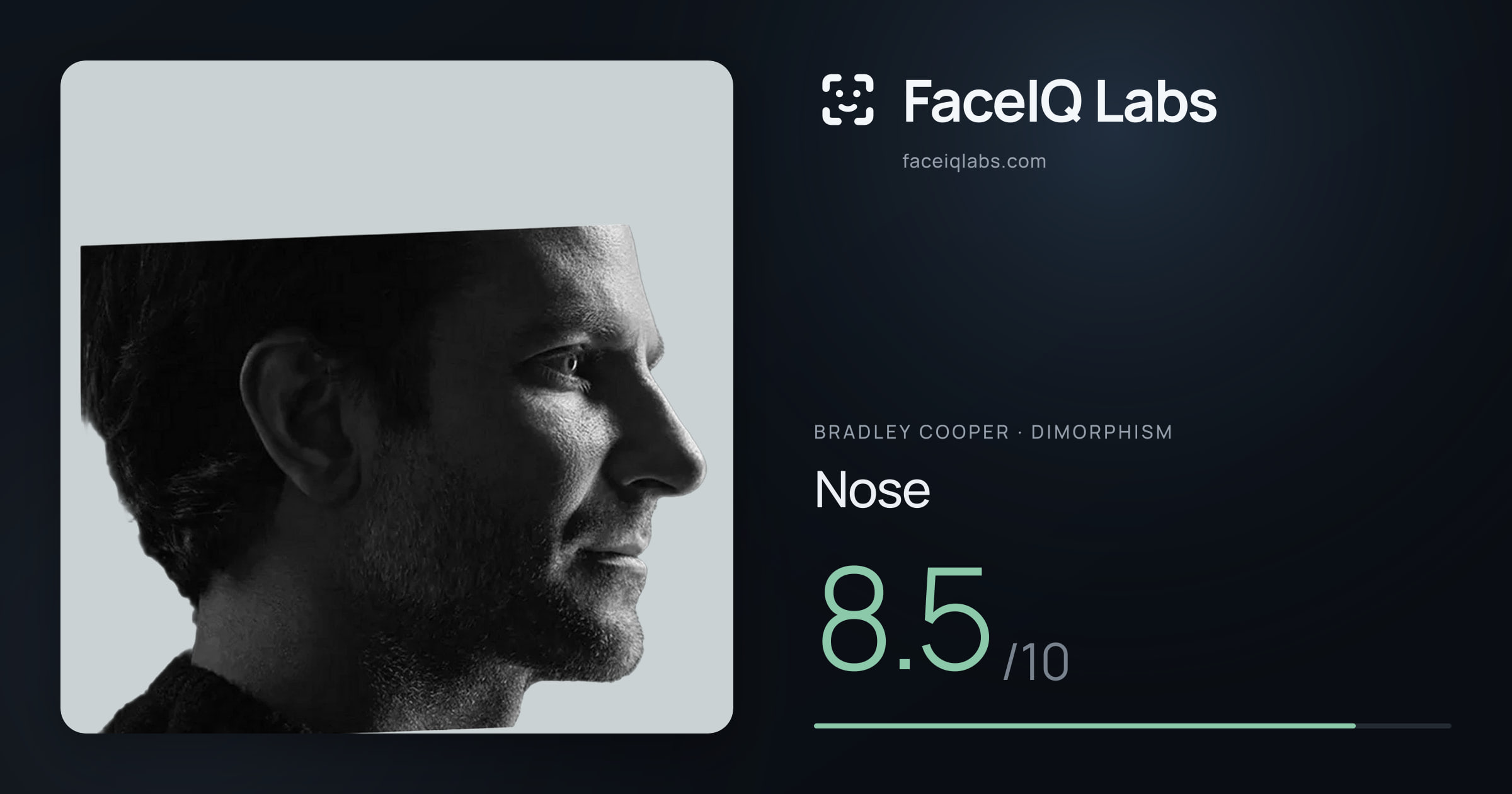 Bradley Cooper Nose: 8.5/10, drawn on the photo