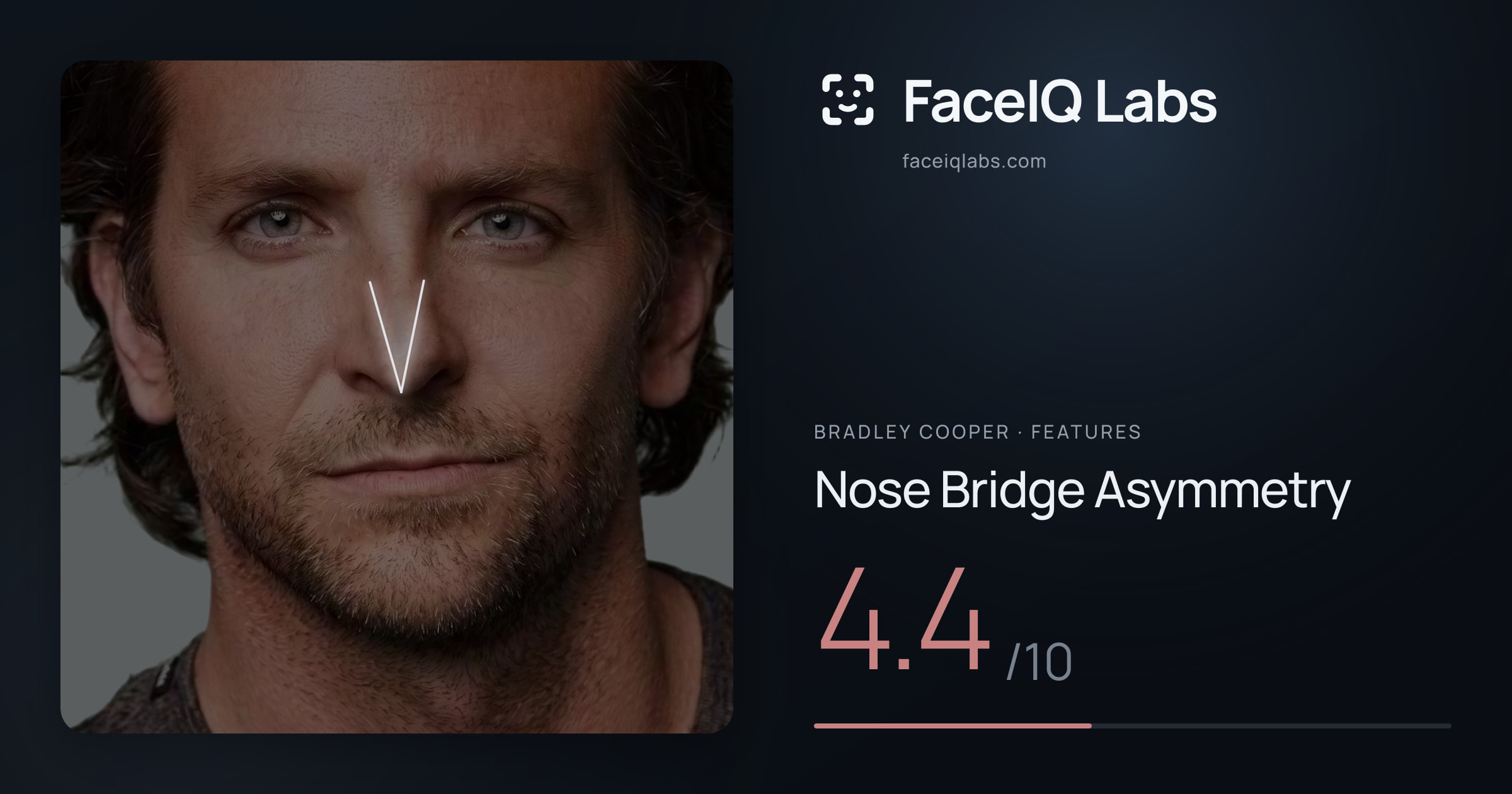 Bradley Cooper Nose Bridge Asymmetry: 4.4/10, drawn on the photo
