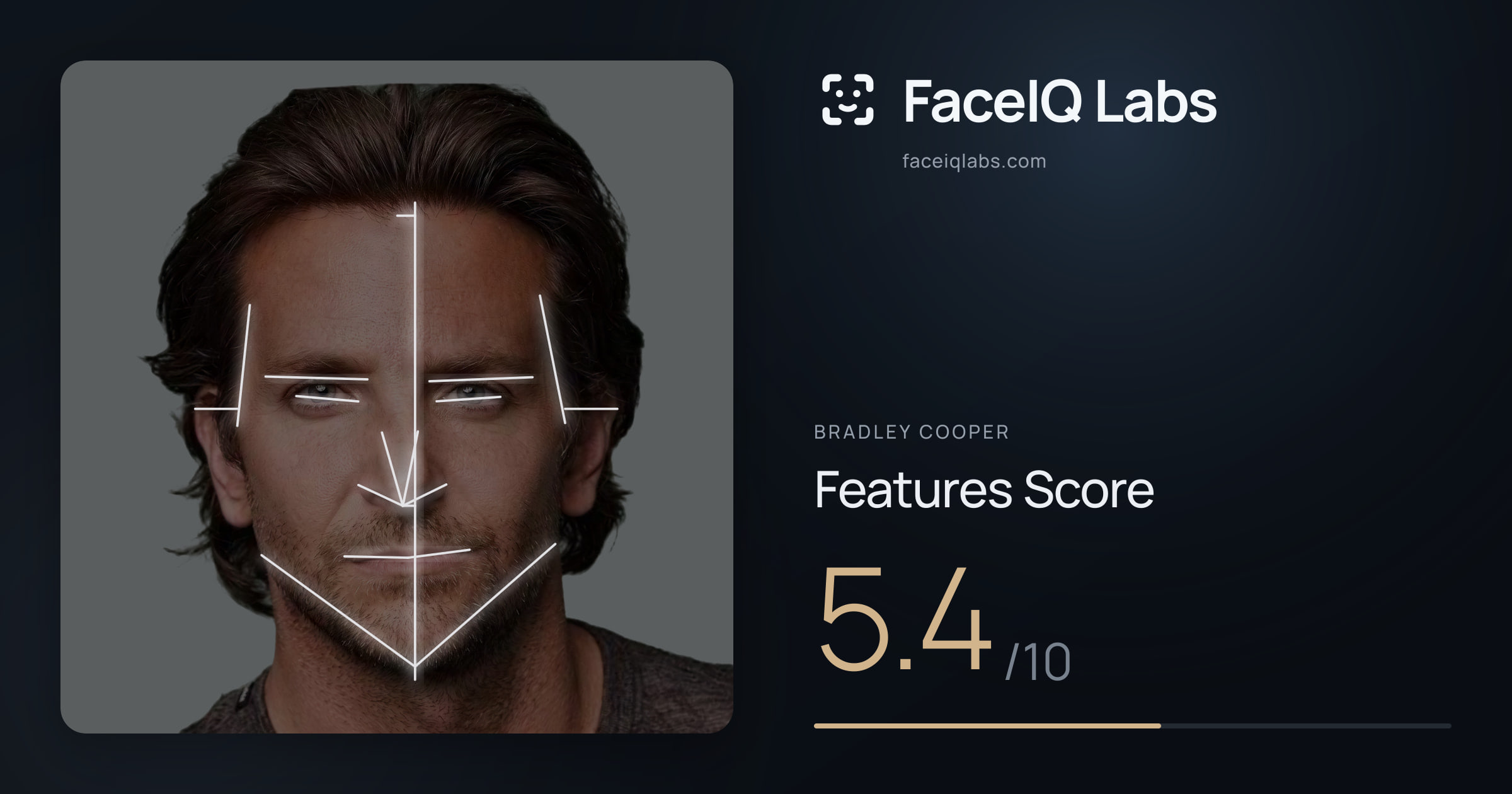 Bradley Cooper Features: 5.4/10, with each assessment drawn on the photo