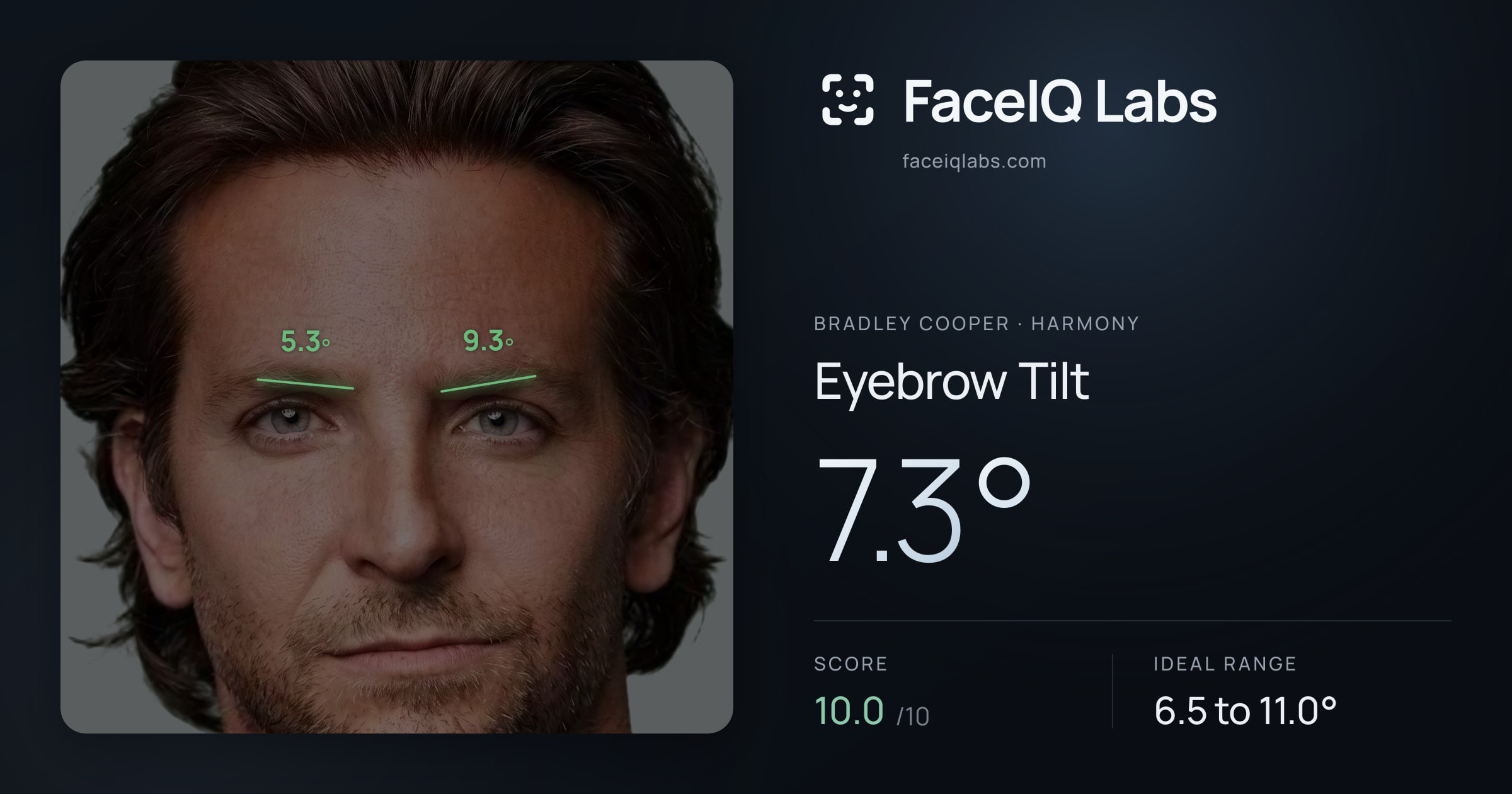 Bradley Cooper Eyebrow Tilt: 7.3°, drawn on the photo