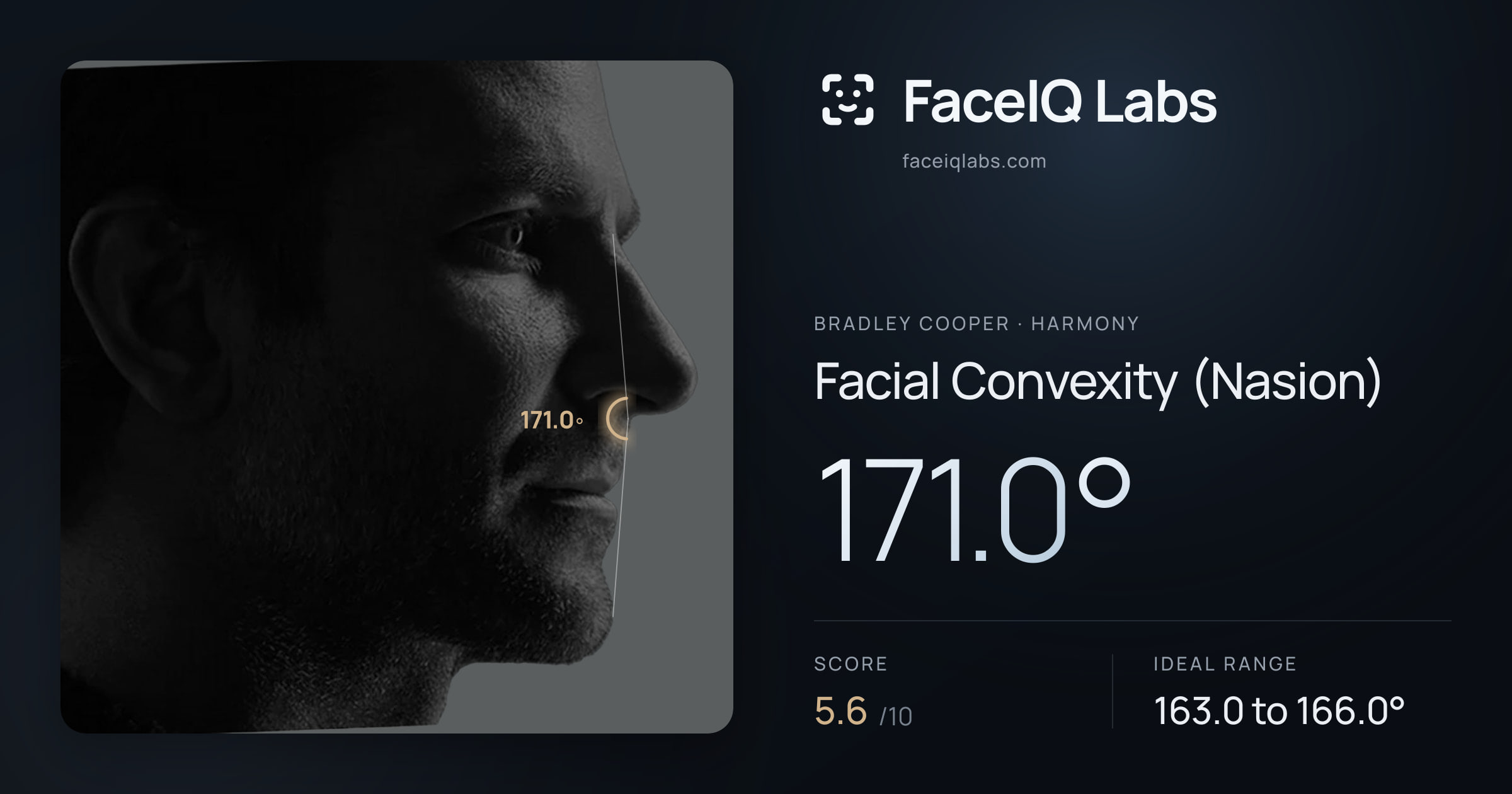 Bradley Cooper Facial Convexity (Nasion): 171.0°, drawn on the photo