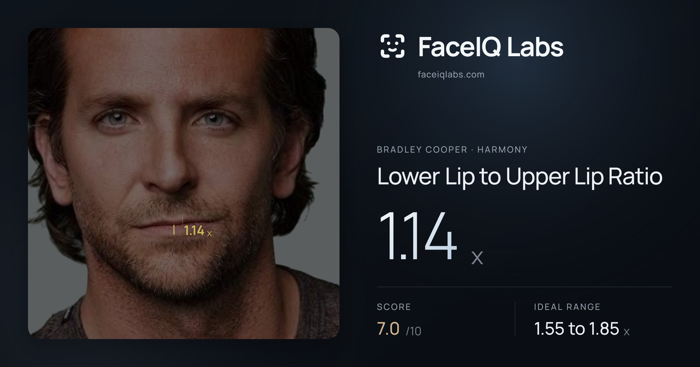 Bradley Cooper Lower Lip to Upper Lip Ratio: 1.14x, drawn on the photo