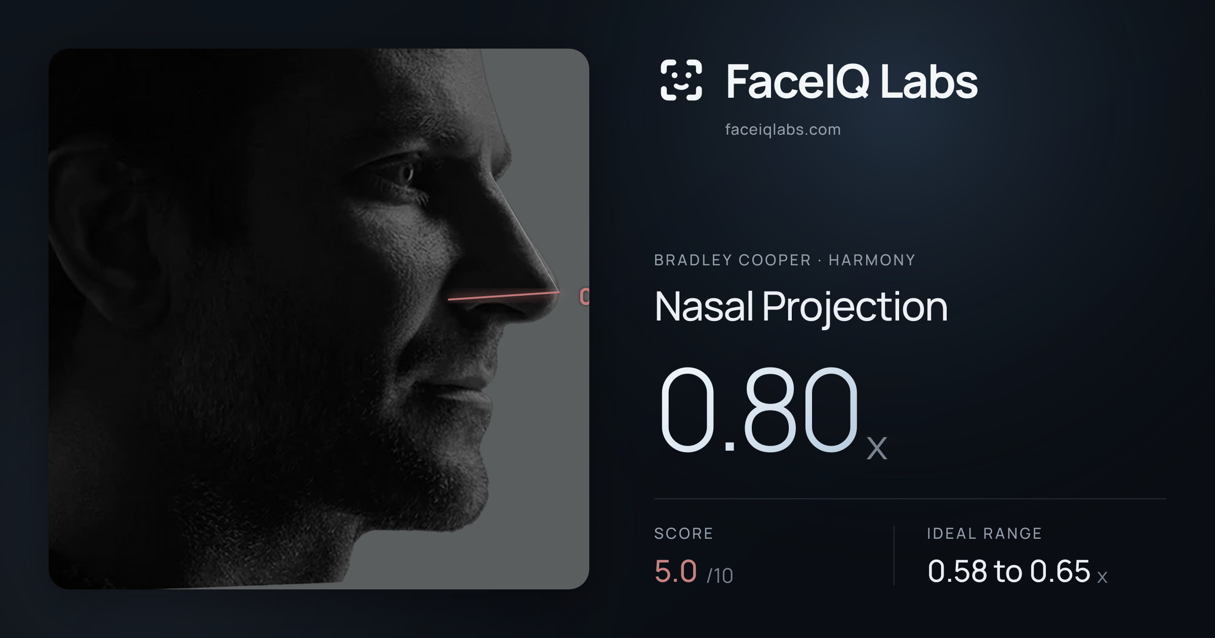 Bradley Cooper Nasal Projection: 0.80x, drawn on the photo