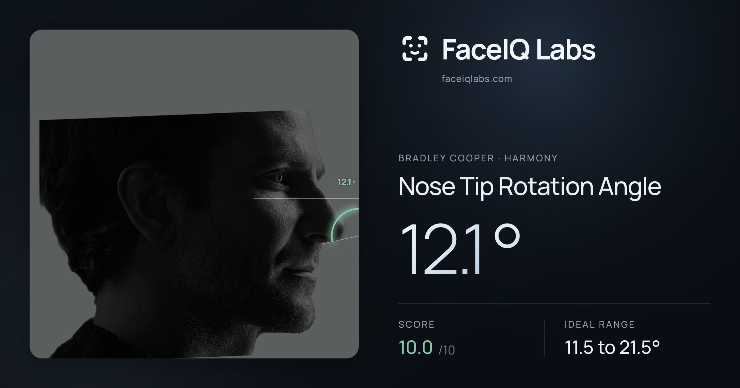 Bradley Cooper Nose Tip Rotation Angle: 12.1°, drawn on the photo