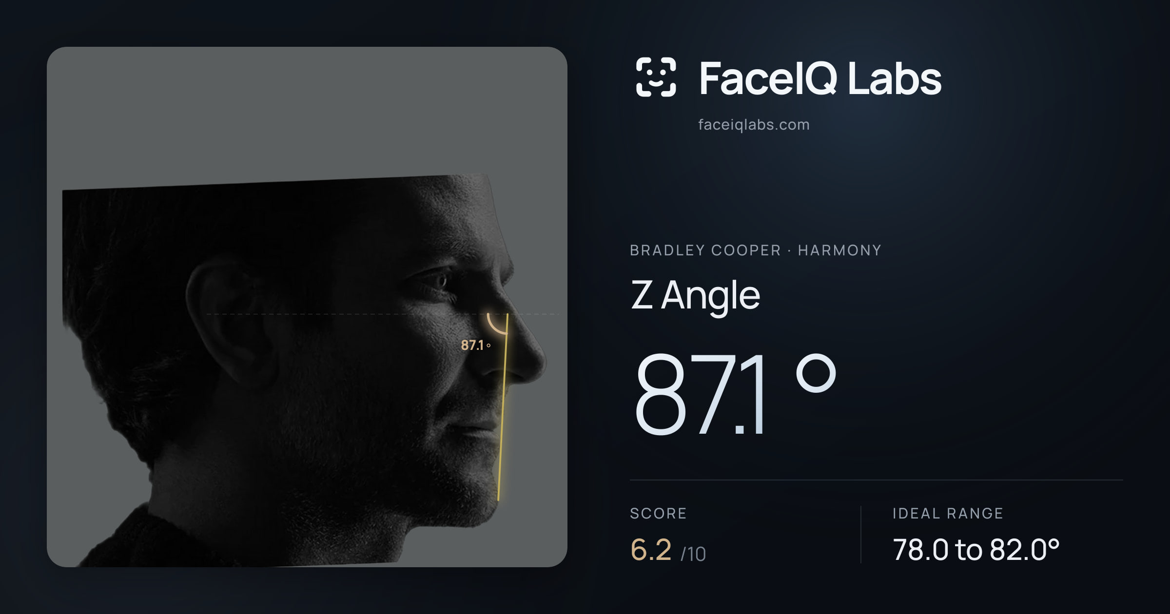 Bradley Cooper Z Angle: 87.1°, drawn on the photo