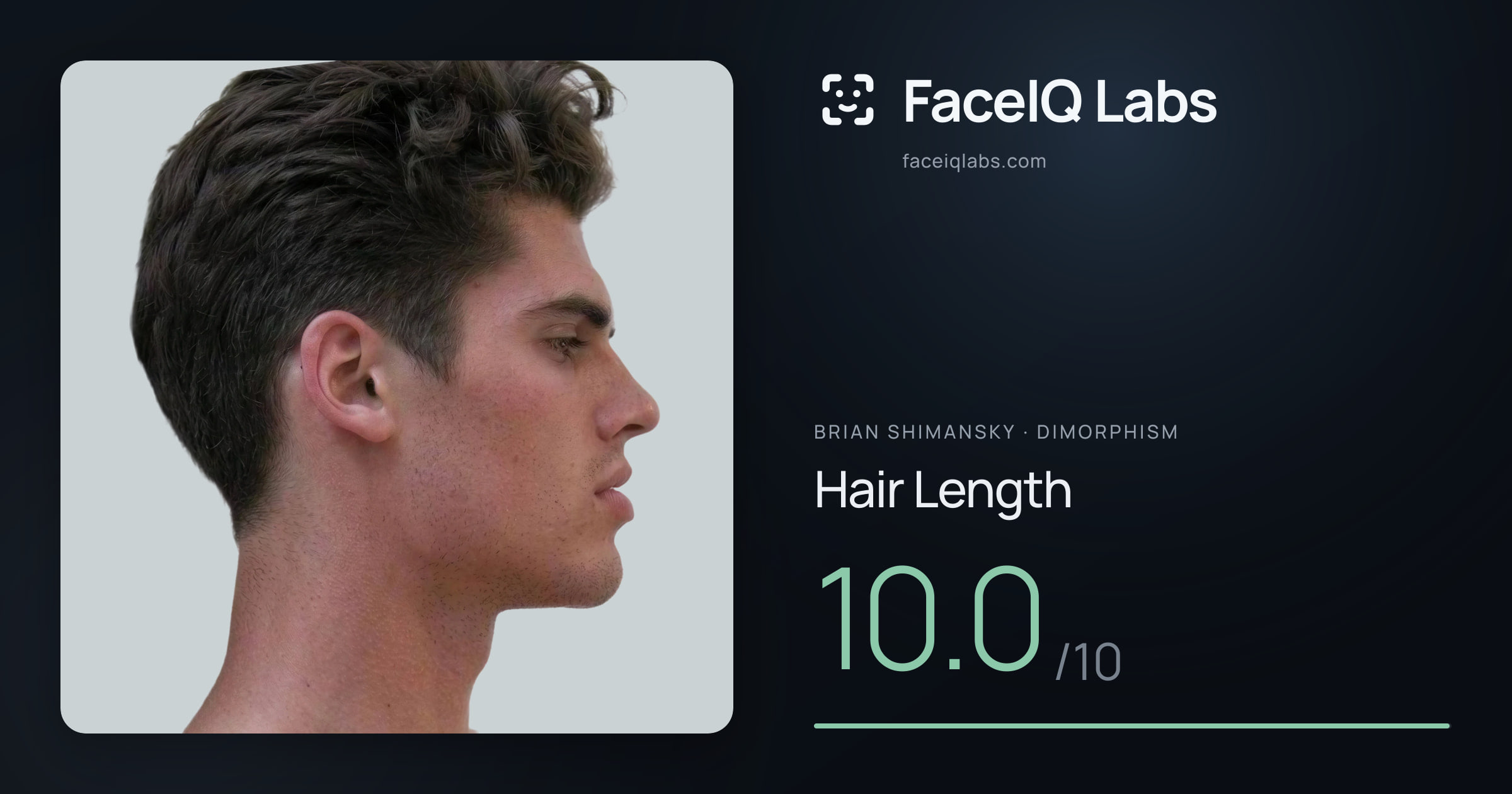 Brian Shimansky Hair Length: 10.0/10, drawn on the photo