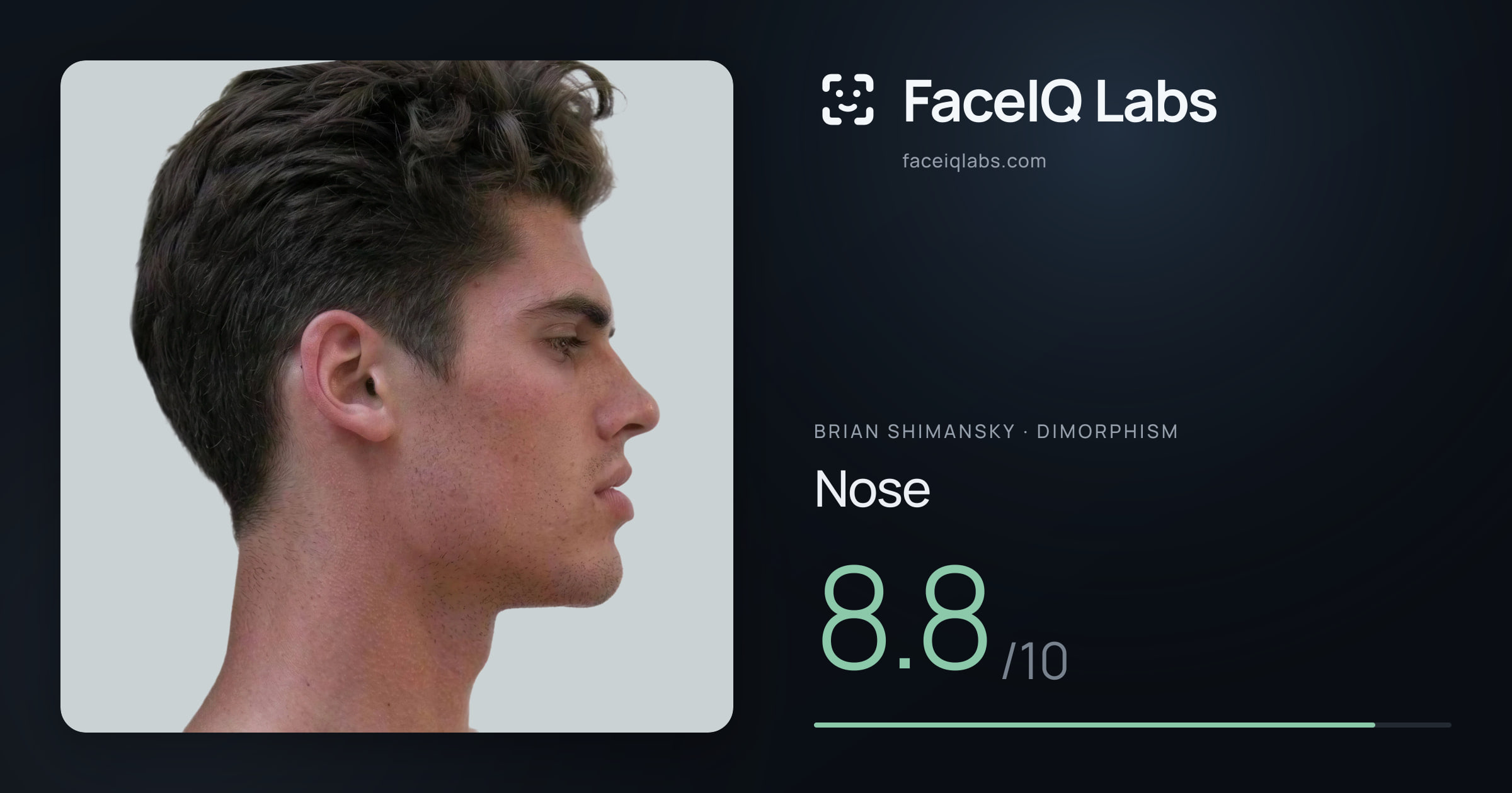 Brian Shimansky Nose: 8.8/10, drawn on the photo