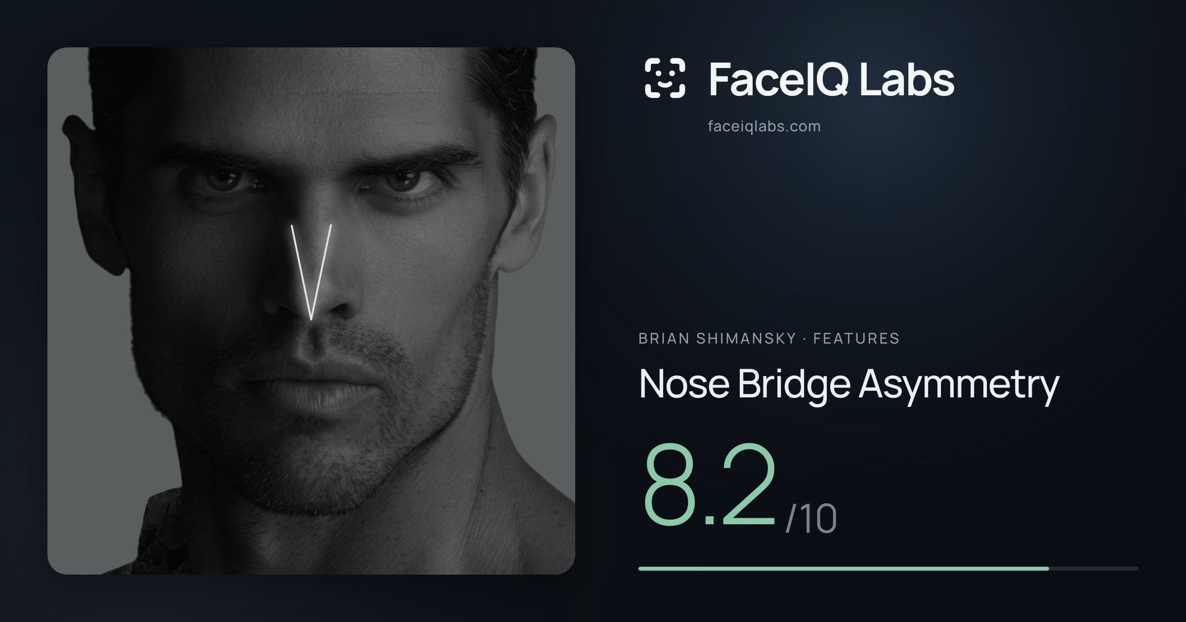 Brian Shimansky Nose Bridge Asymmetry: 8.2/10, drawn on the photo