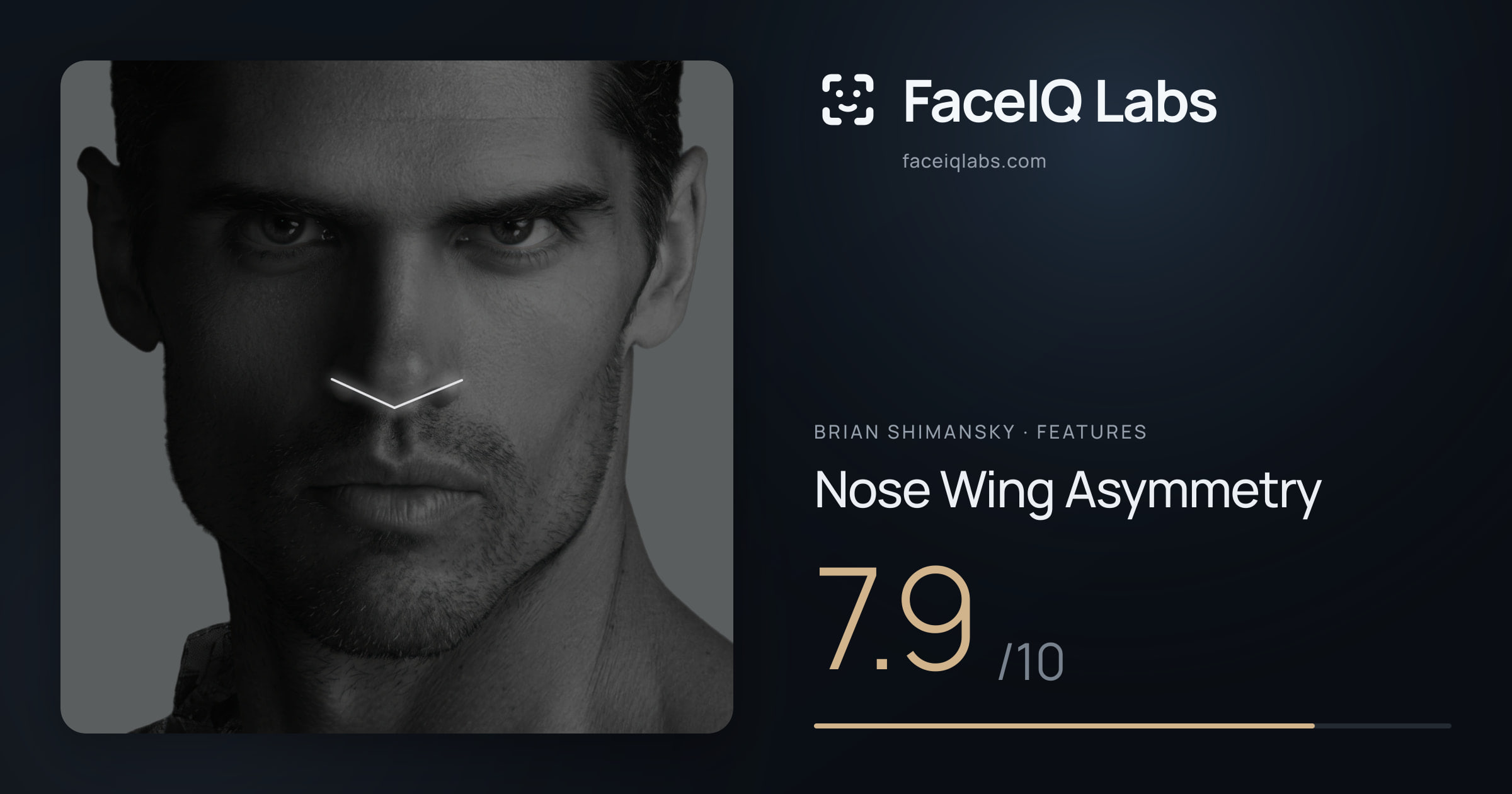 Brian Shimansky Nose Wing Asymmetry: 7.9/10, drawn on the photo