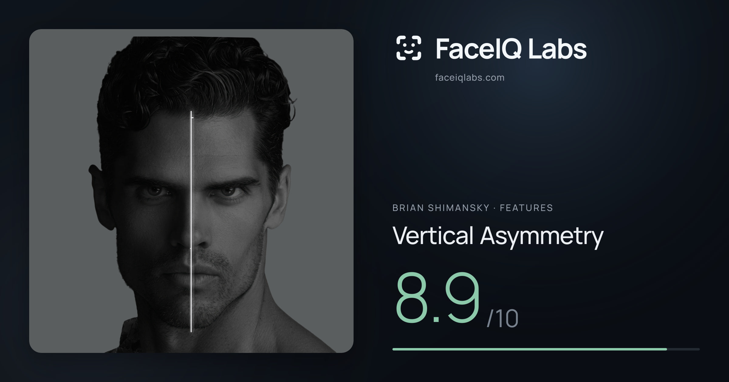 Brian Shimansky Vertical Asymmetry: 8.9/10, drawn on the photo