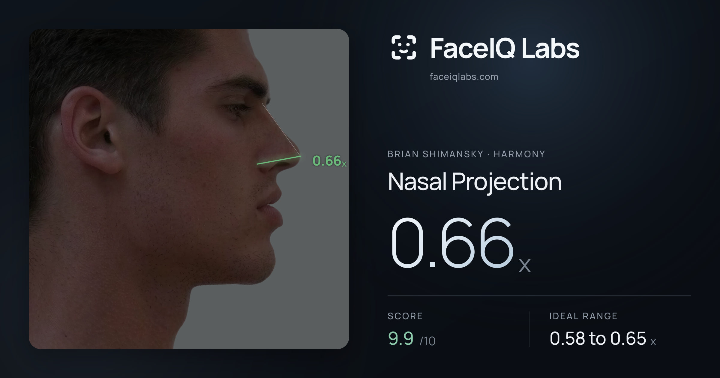 Brian Shimansky Nasal Projection: 0.68x, drawn on the photo