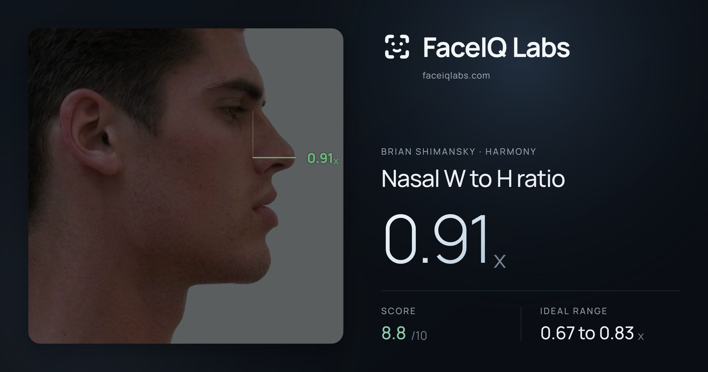 Brian Shimansky Nasal W to H ratio: 0.94x, drawn on the photo