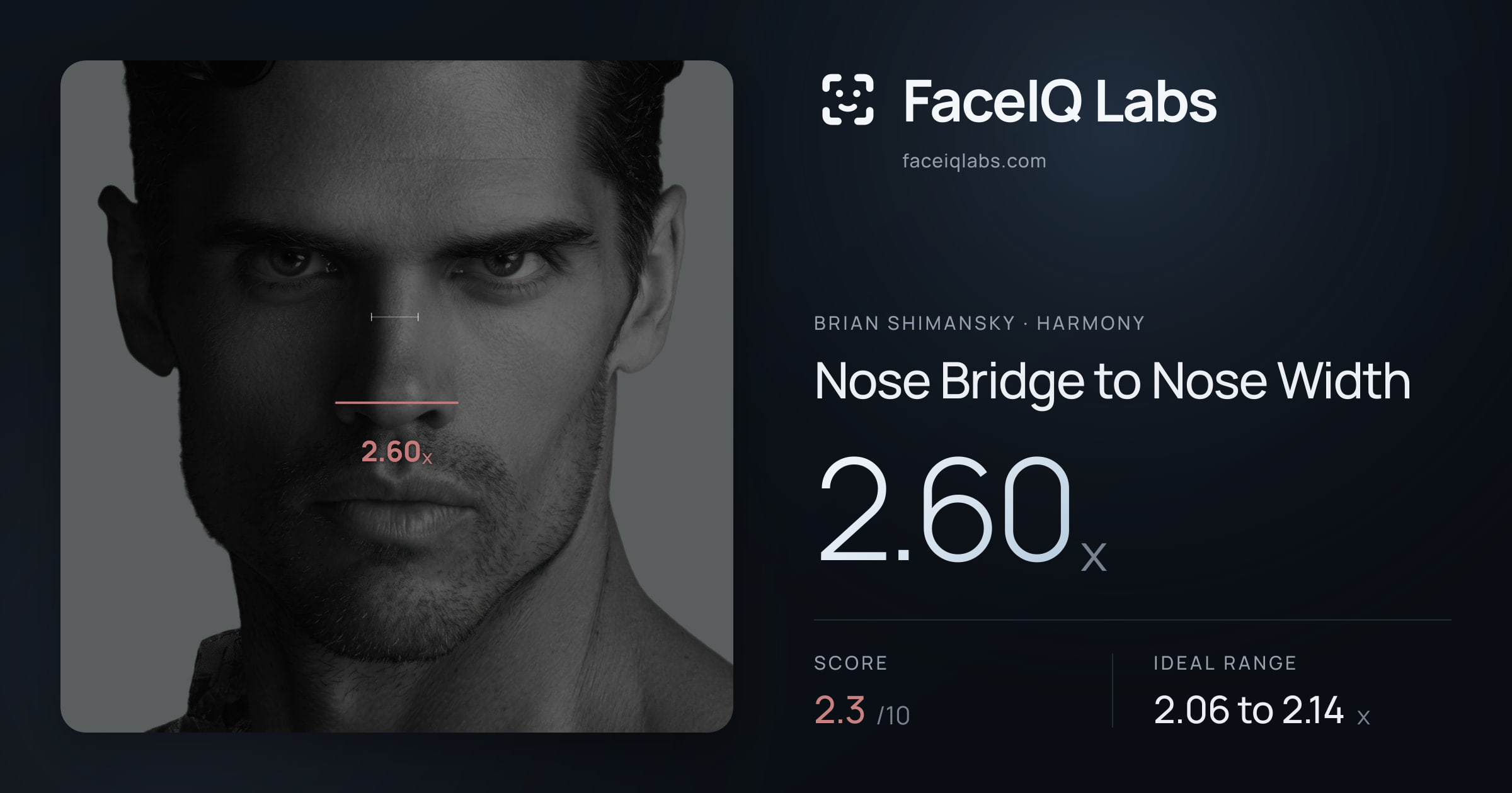 Brian Shimansky Nose Bridge to Nose Width: 2.60x, drawn on the photo