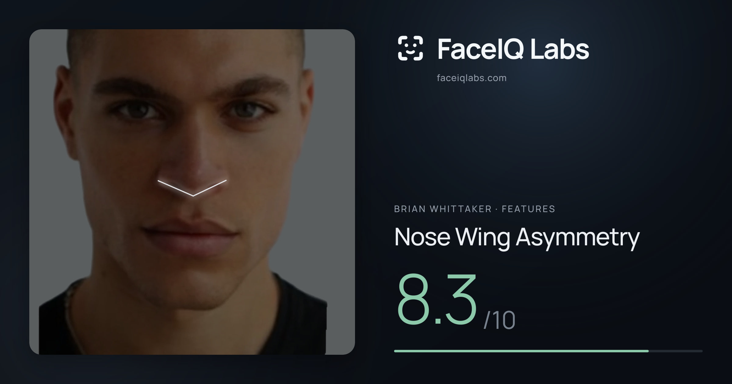 Brian Whittaker Nose Wing Asymmetry: 8.3/10, drawn on the photo