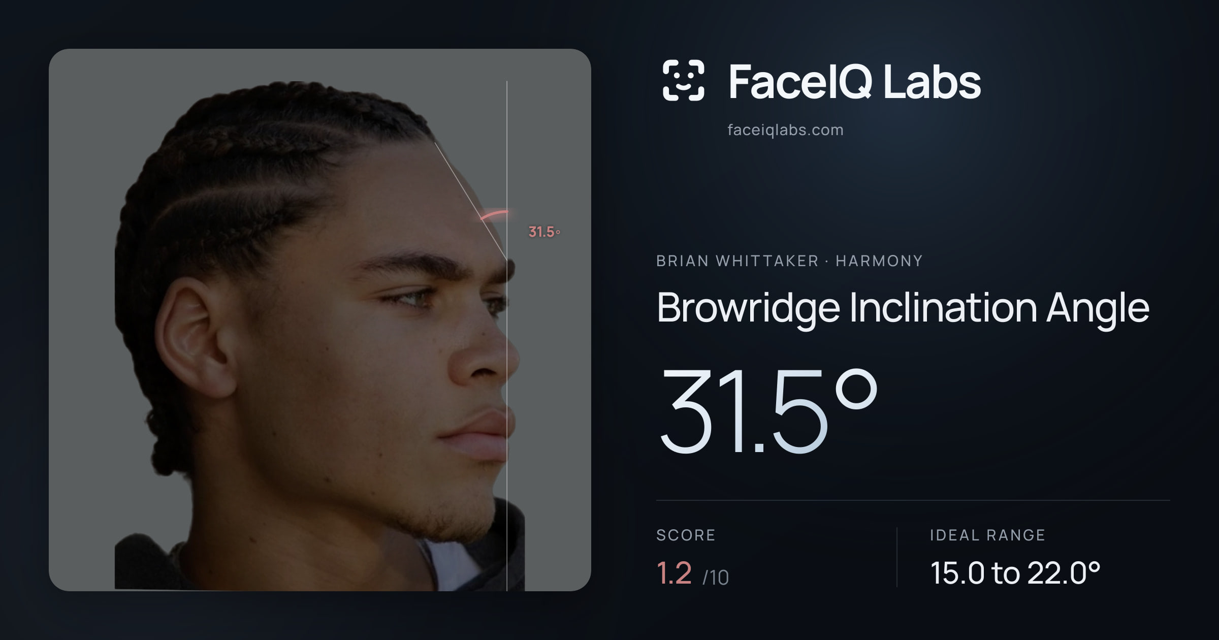 Brian Whittaker Browridge Inclination Angle: 31.5°, drawn on the photo