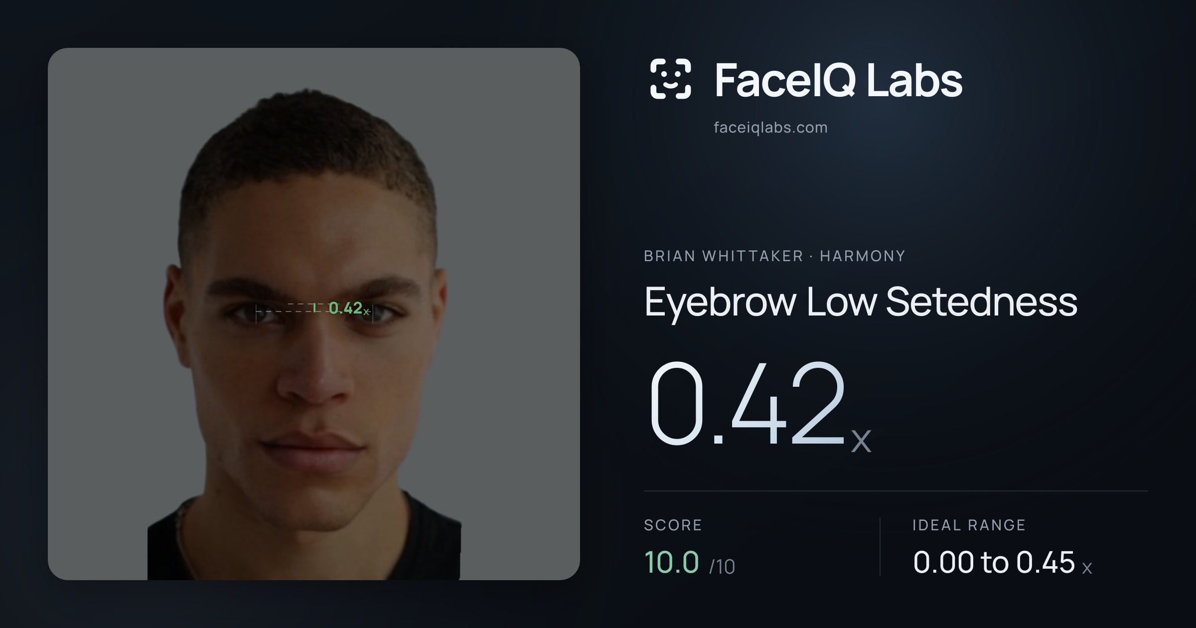 Brian Whittaker Eyebrow Low Setedness: 0.42x, drawn on the photo