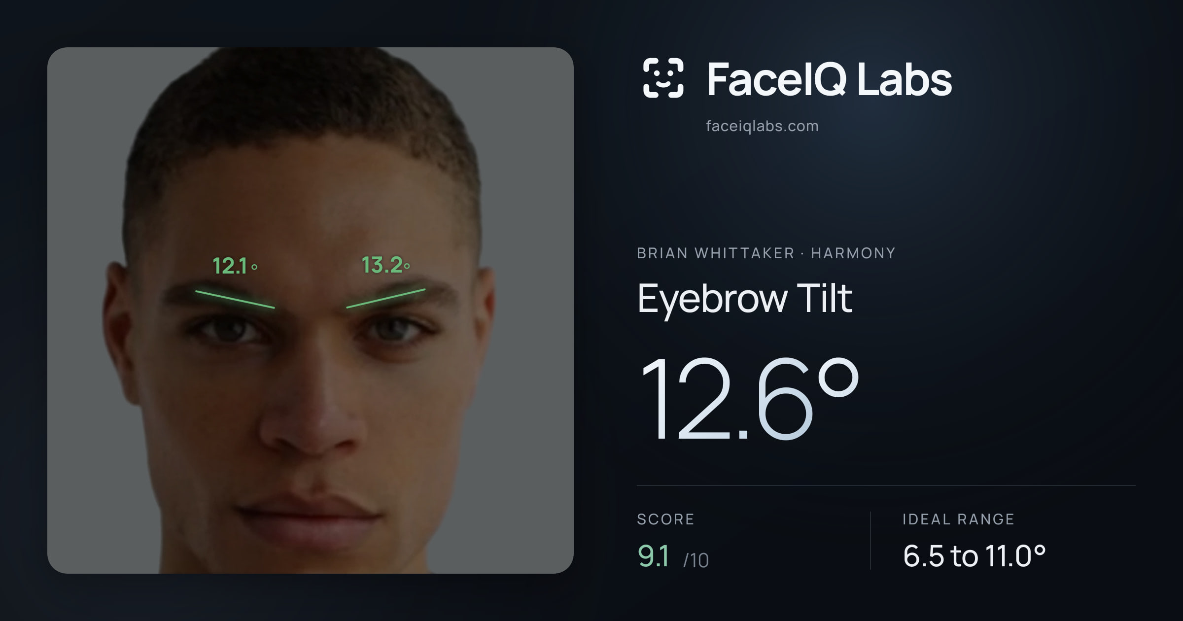 Brian Whittaker Eyebrow Tilt: 12.6°, drawn on the photo