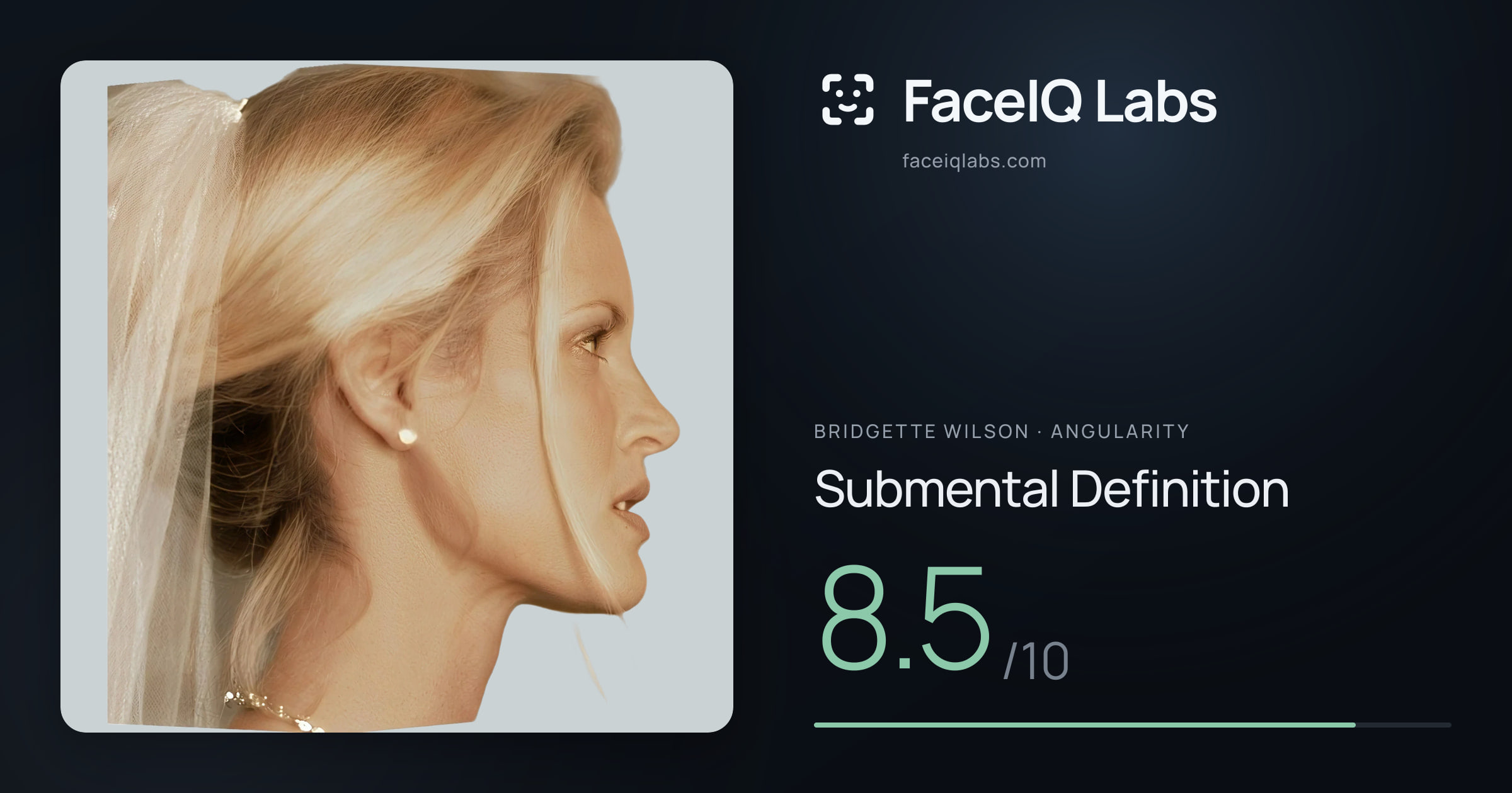 Bridgette Wilson Submental Definition: 8.5/10, drawn on the photo