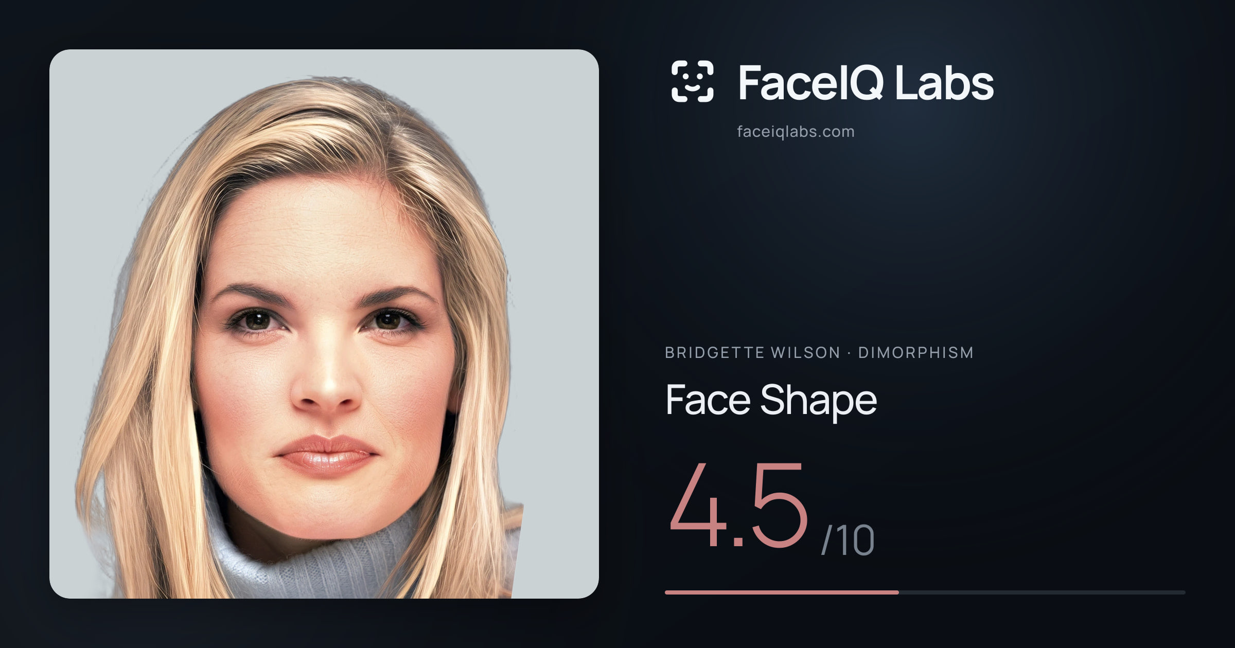Bridgette Wilson Face Shape: 4.5/10, drawn on the photo