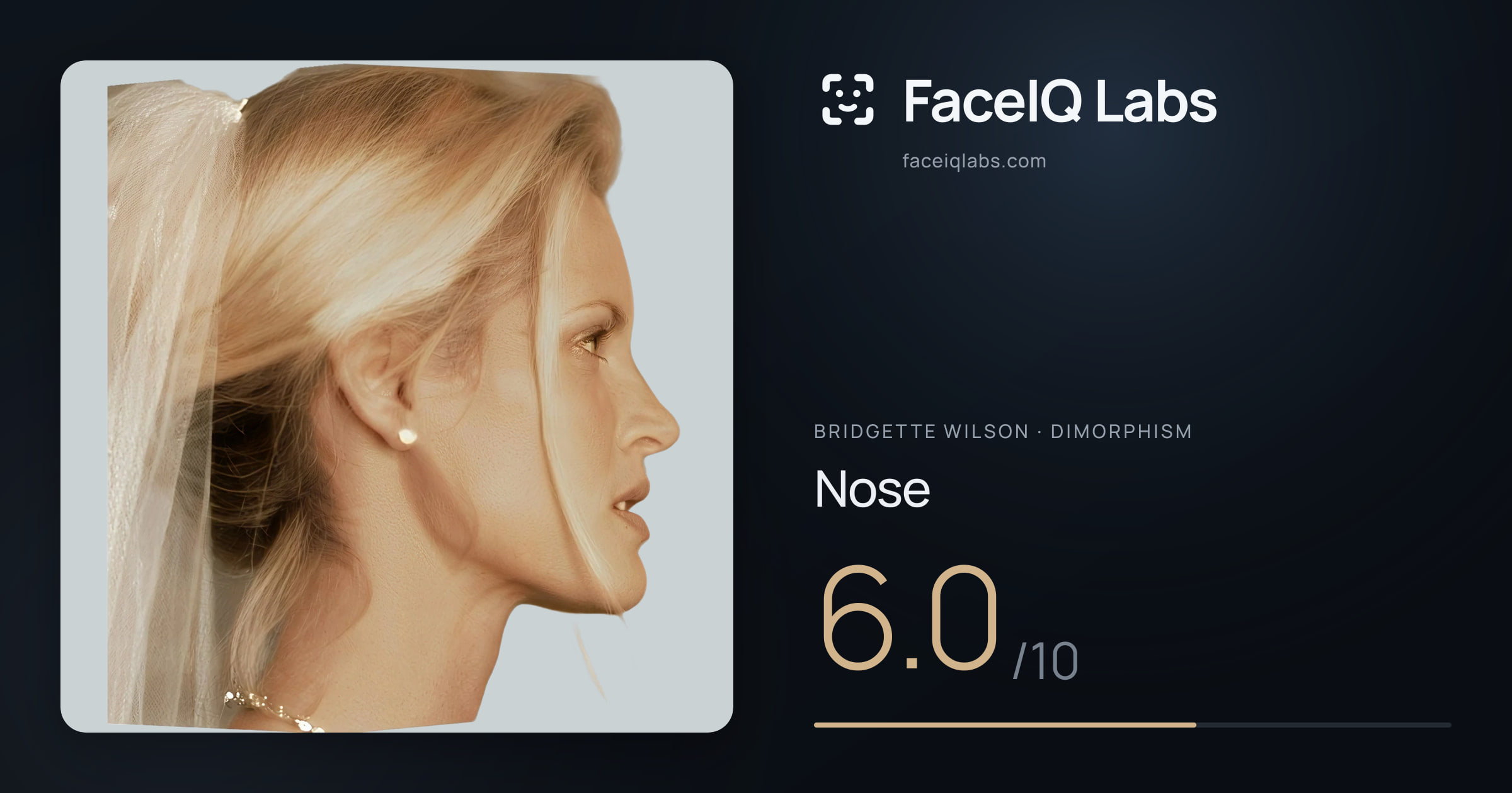 Bridgette Wilson Nose: 6.0/10, drawn on the photo