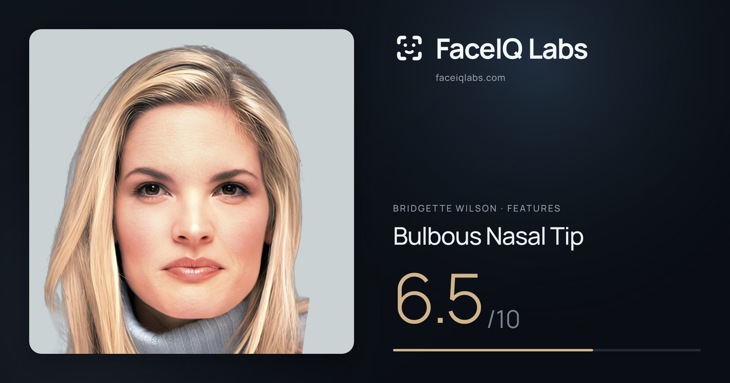 Bridgette Wilson Bulbous Nasal Tip: 6.5/10, drawn on the photo