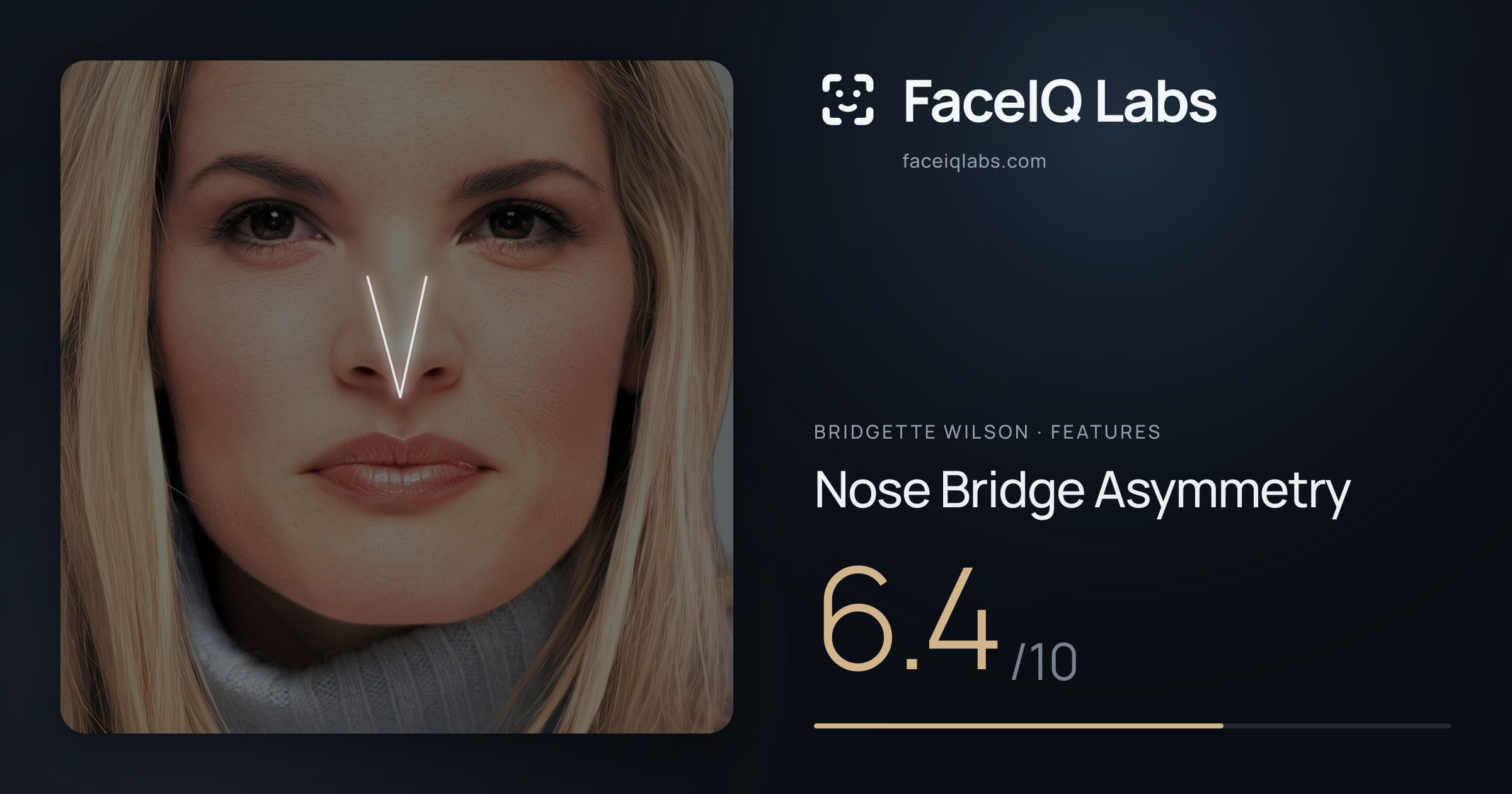 Bridgette Wilson Nose Bridge Asymmetry: 6.4/10, drawn on the photo