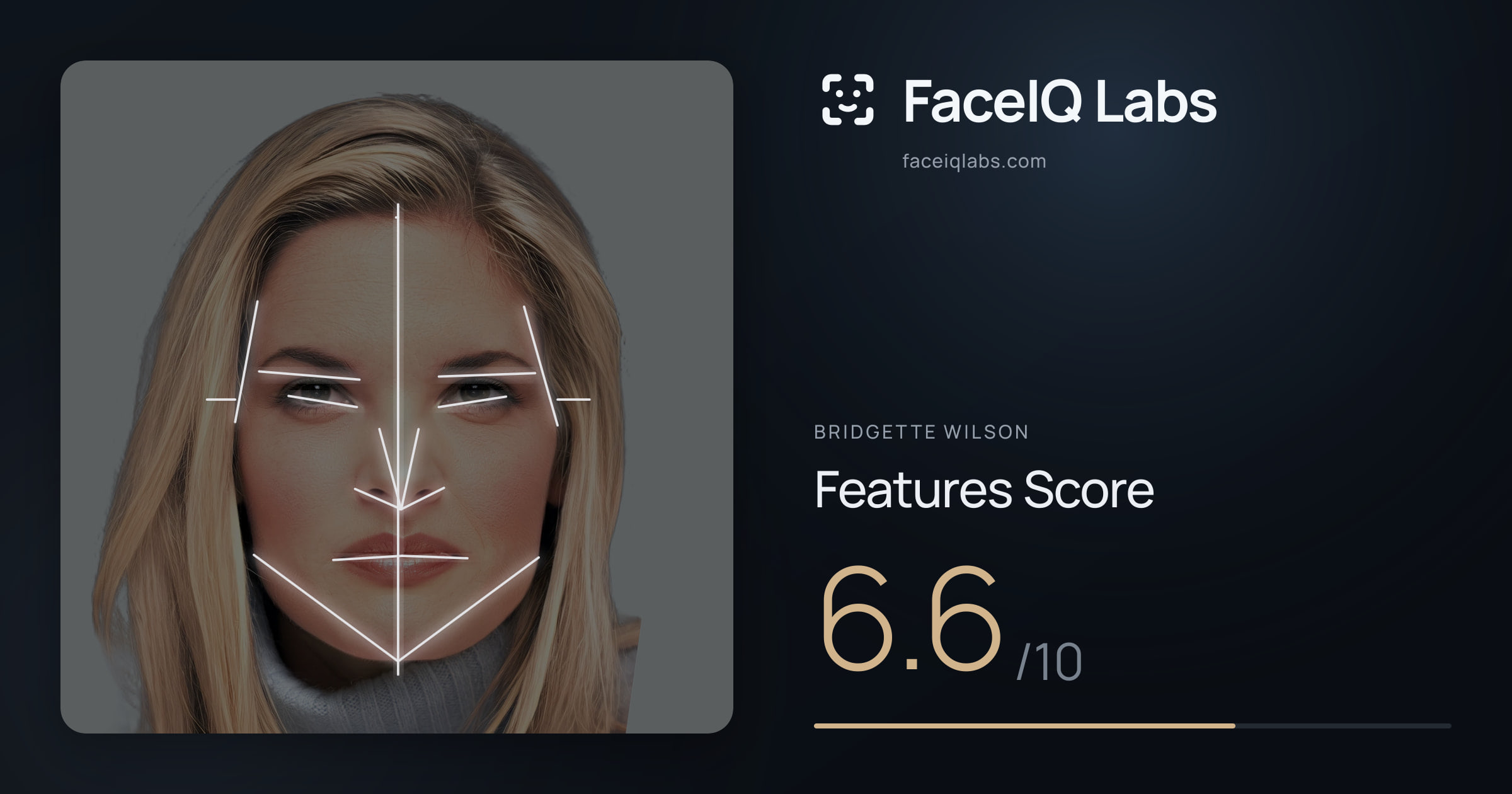 Bridgette Wilson Features: 6.6/10, with each assessment drawn on the photo
