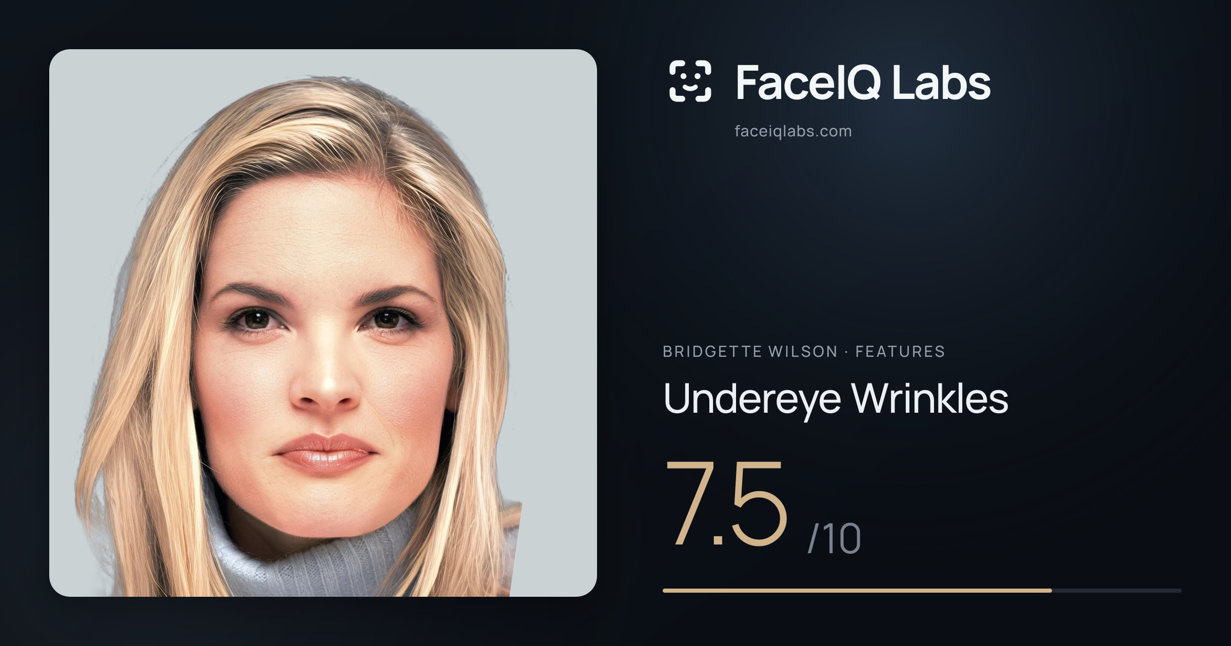 Bridgette Wilson Undereye Wrinkles: 7.5/10, drawn on the photo